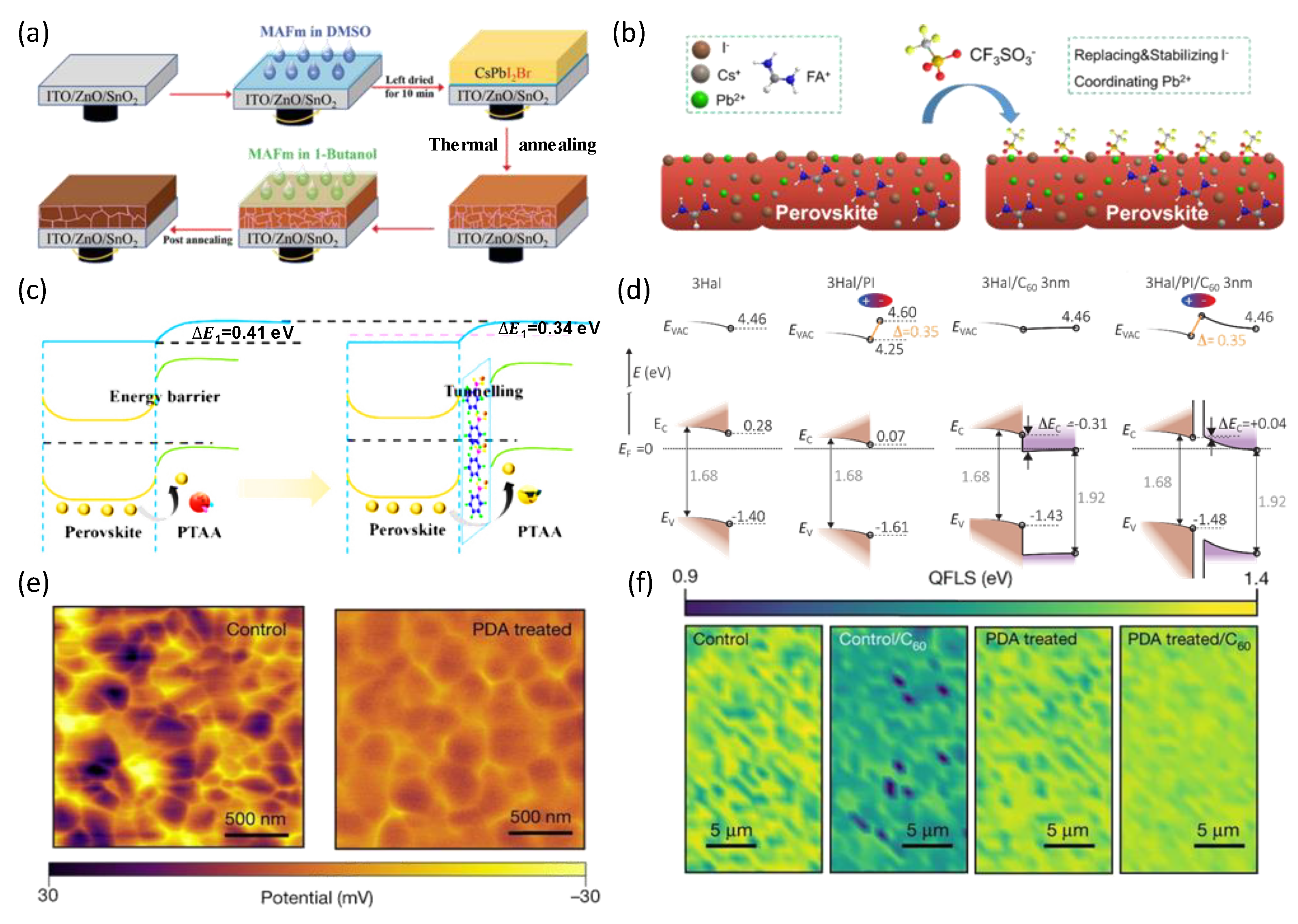 Nanomaterials 14 00202 g006