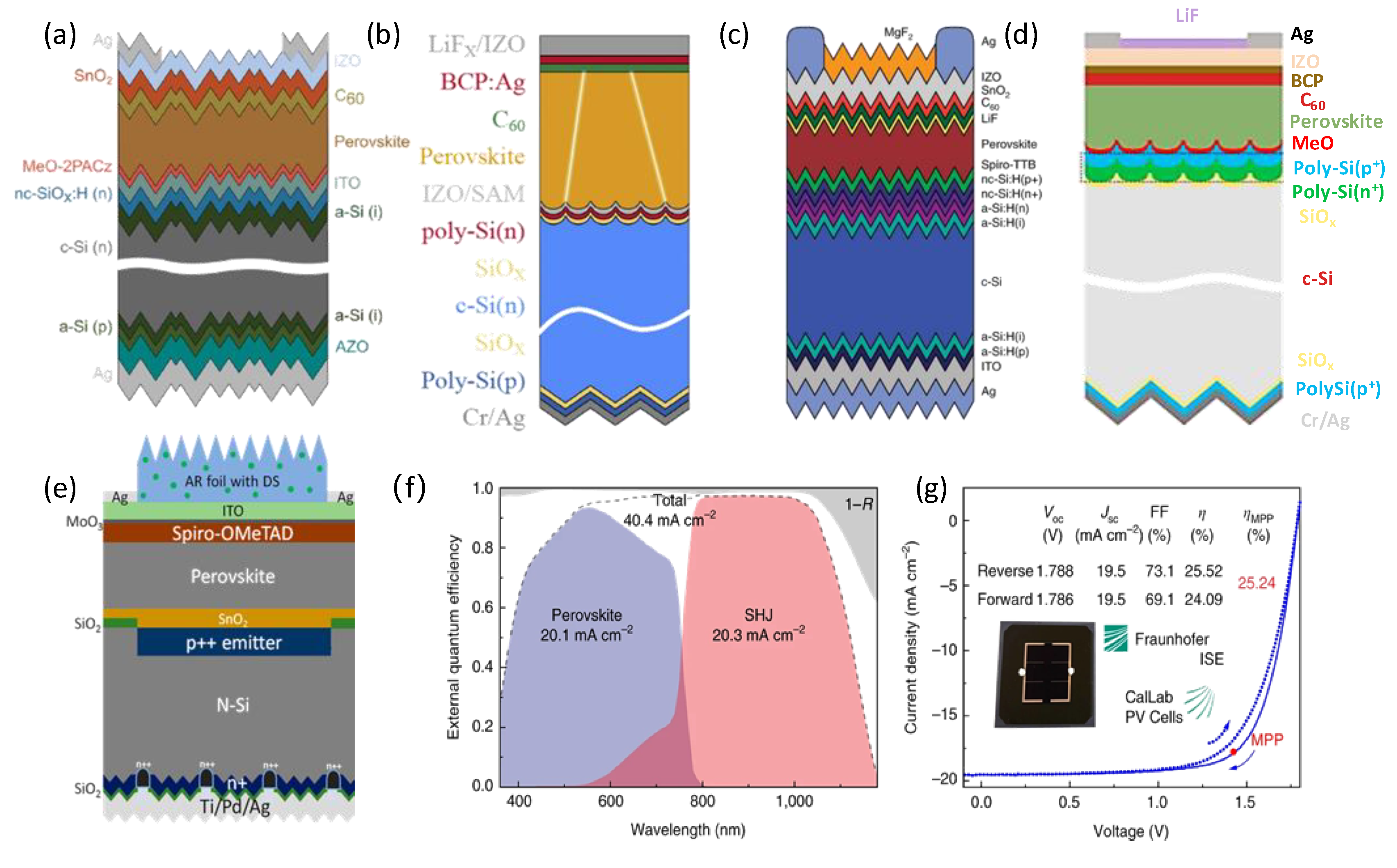 Nanomaterials 14 00202 g007