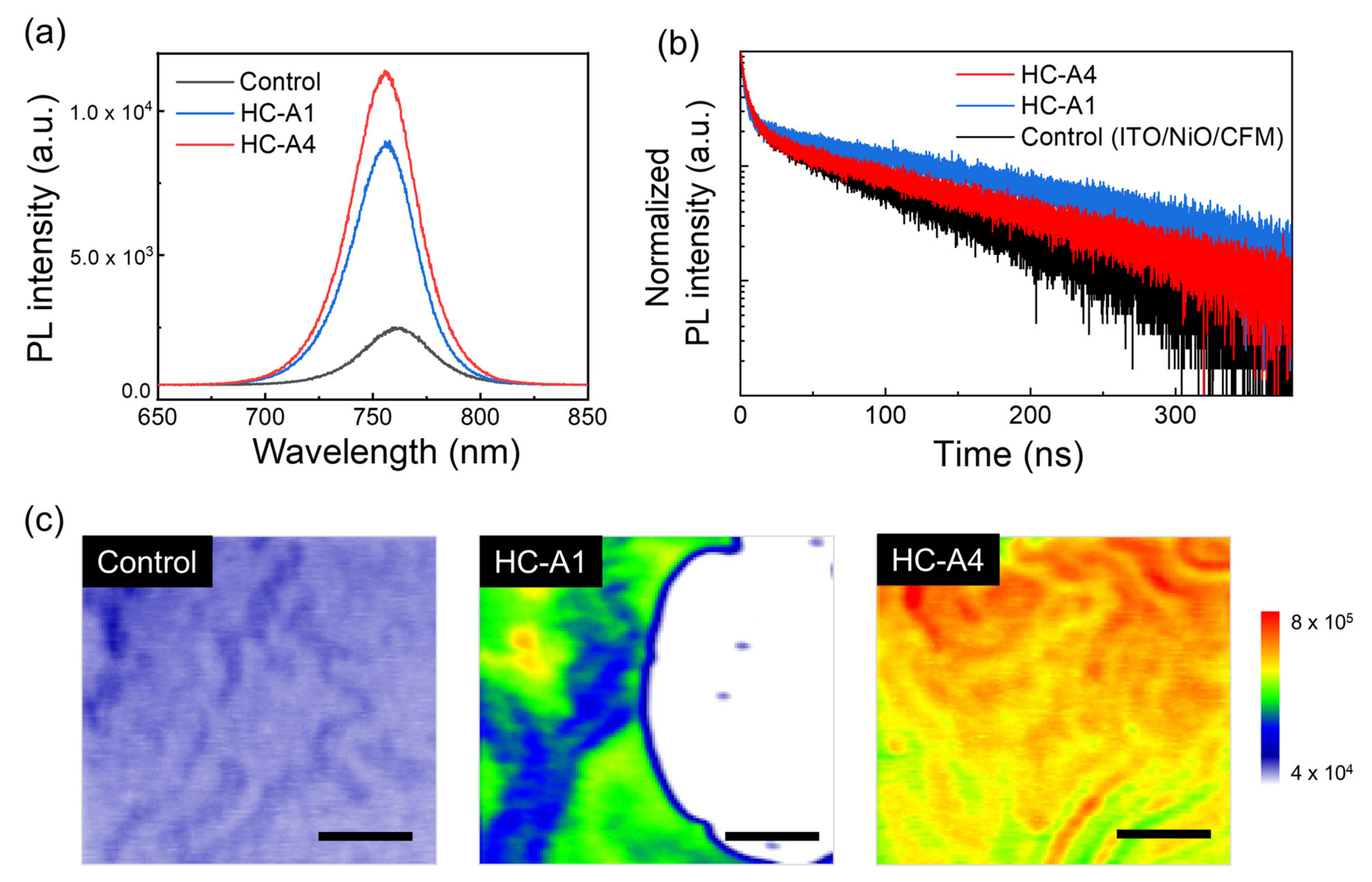 Nanomaterials 14 00214 g005