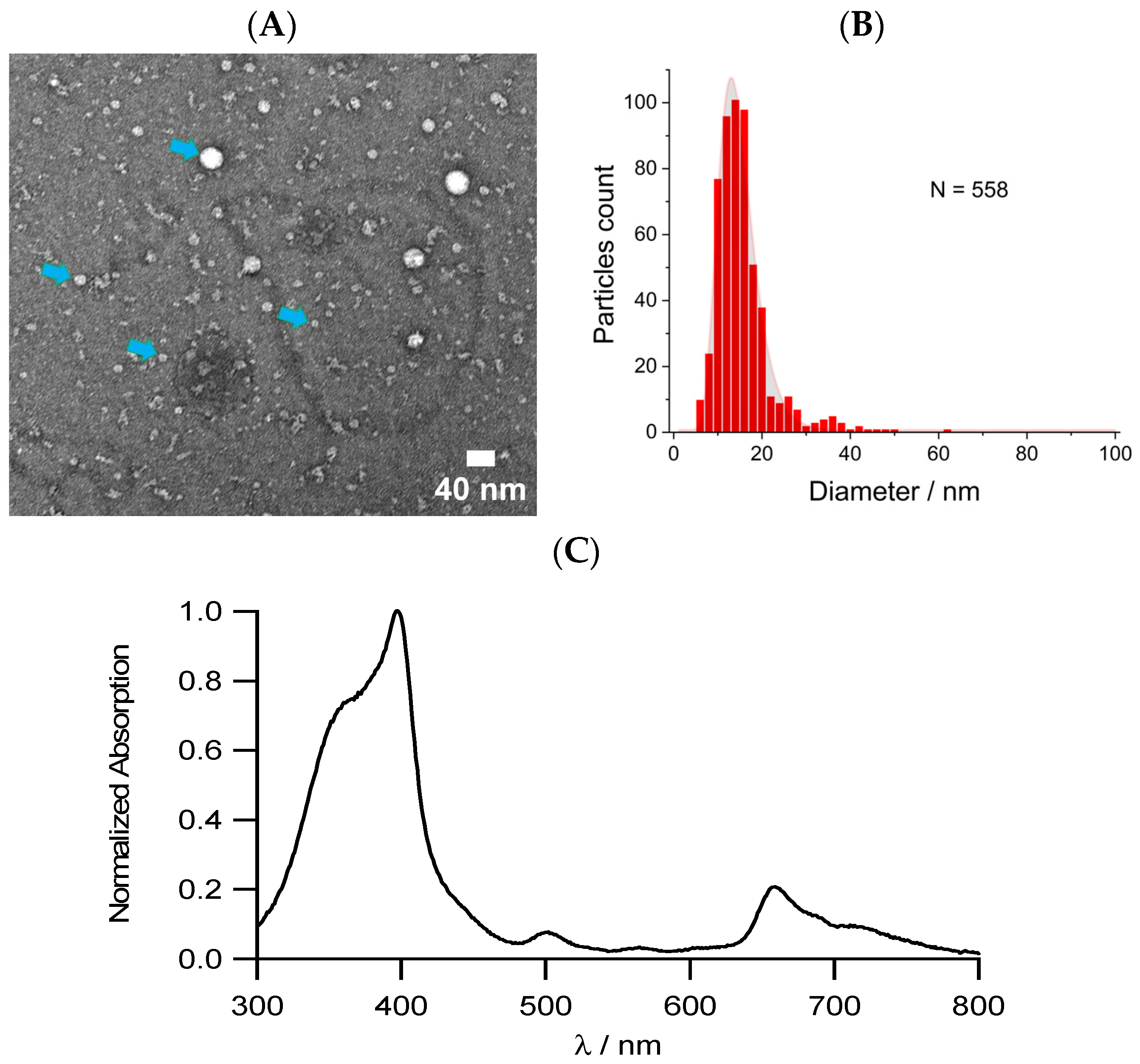 Nanomaterials 14 00216 g001