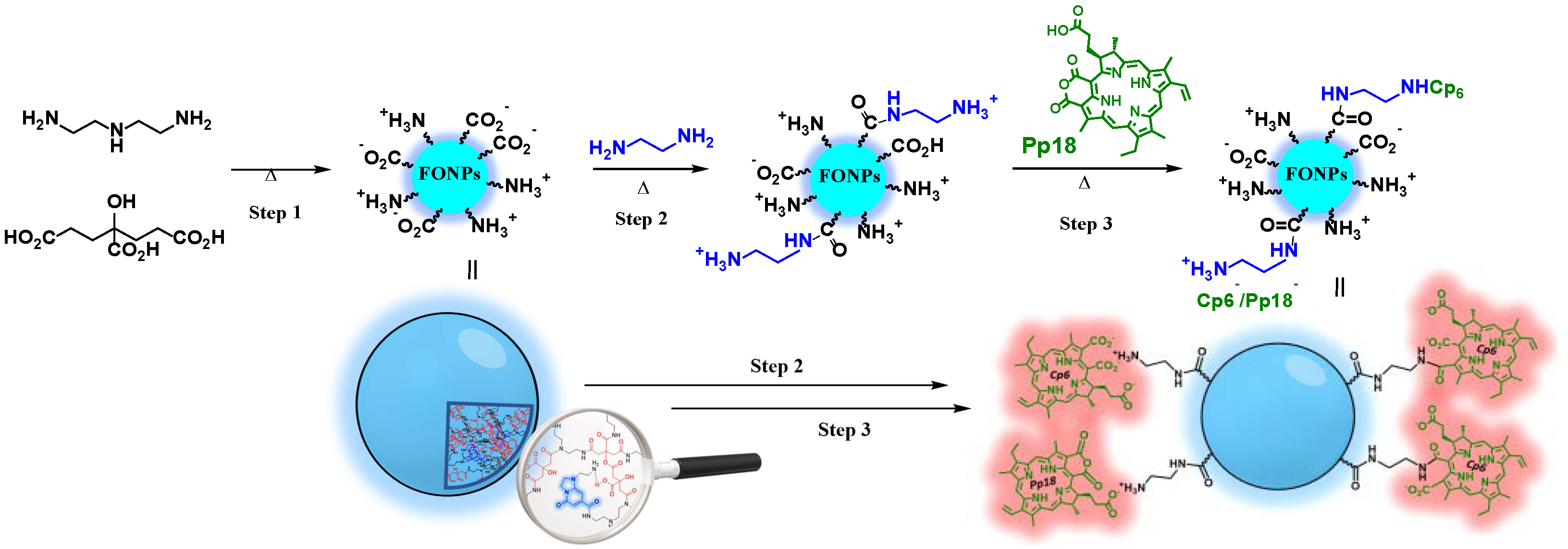 Nanomaterials 14 00216 sch001