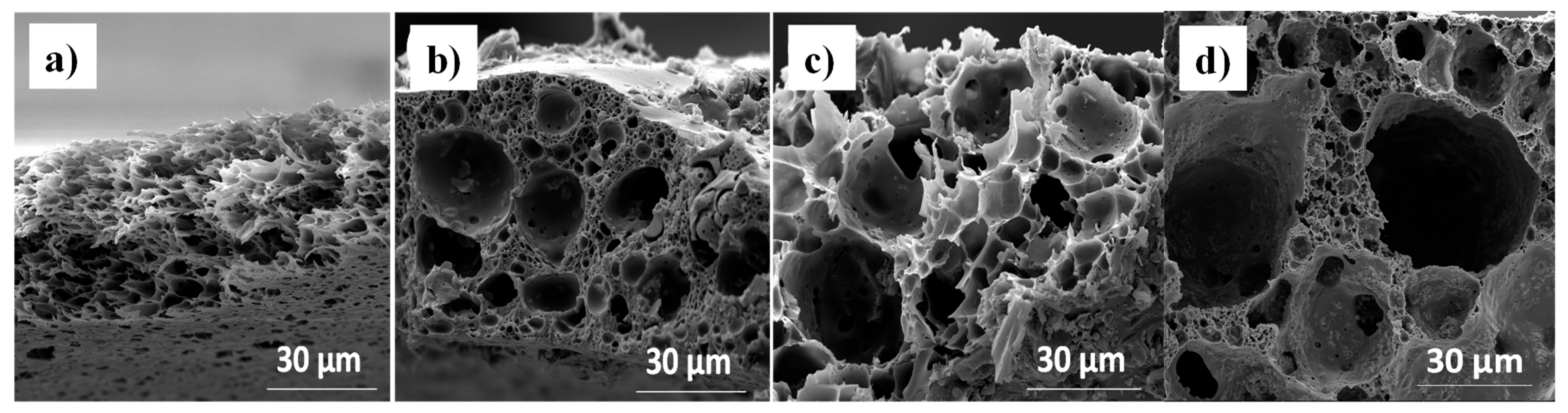 Nanomaterials 14 00224 g007