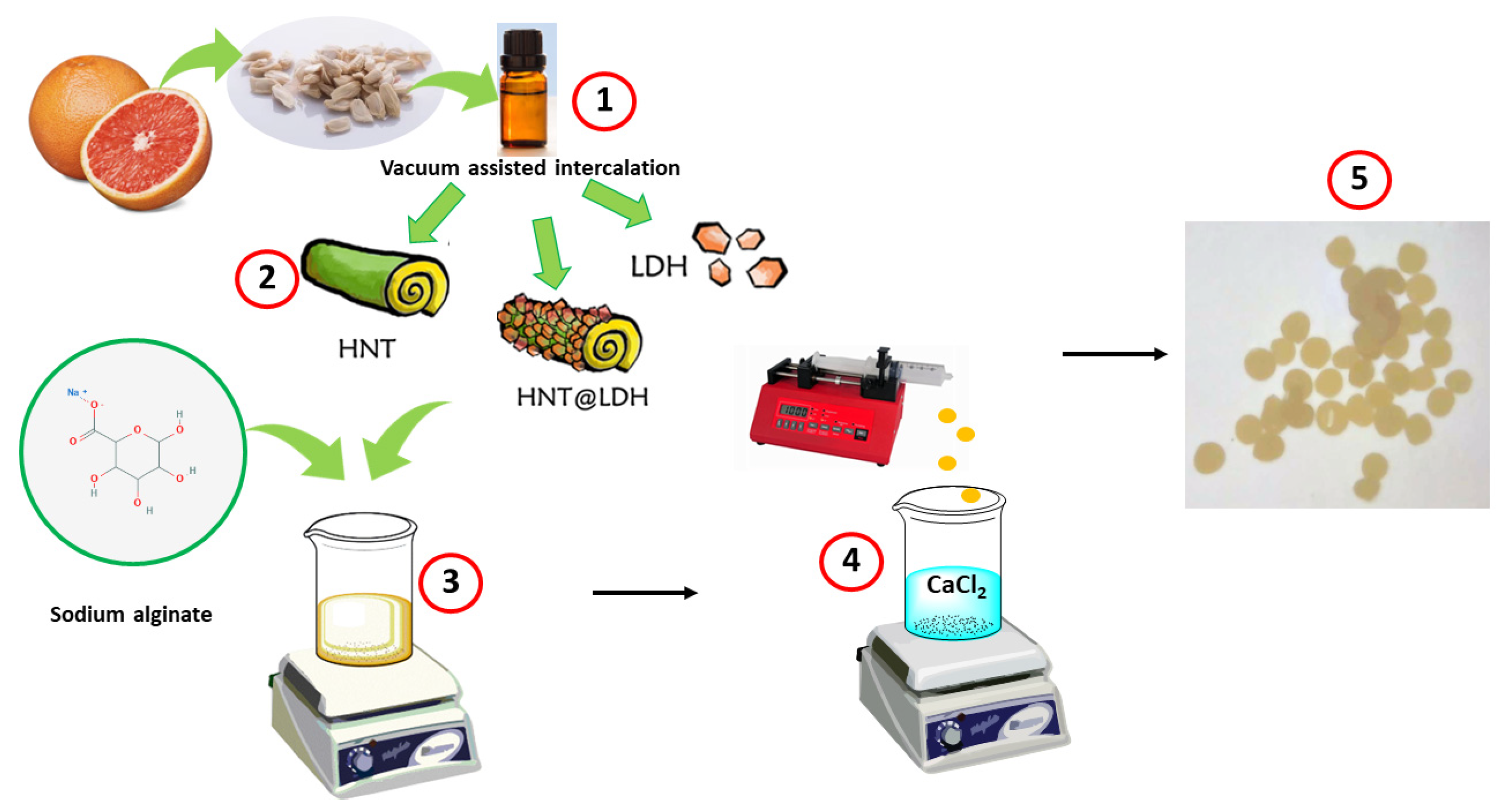Nanomaterials 14 00232 g001