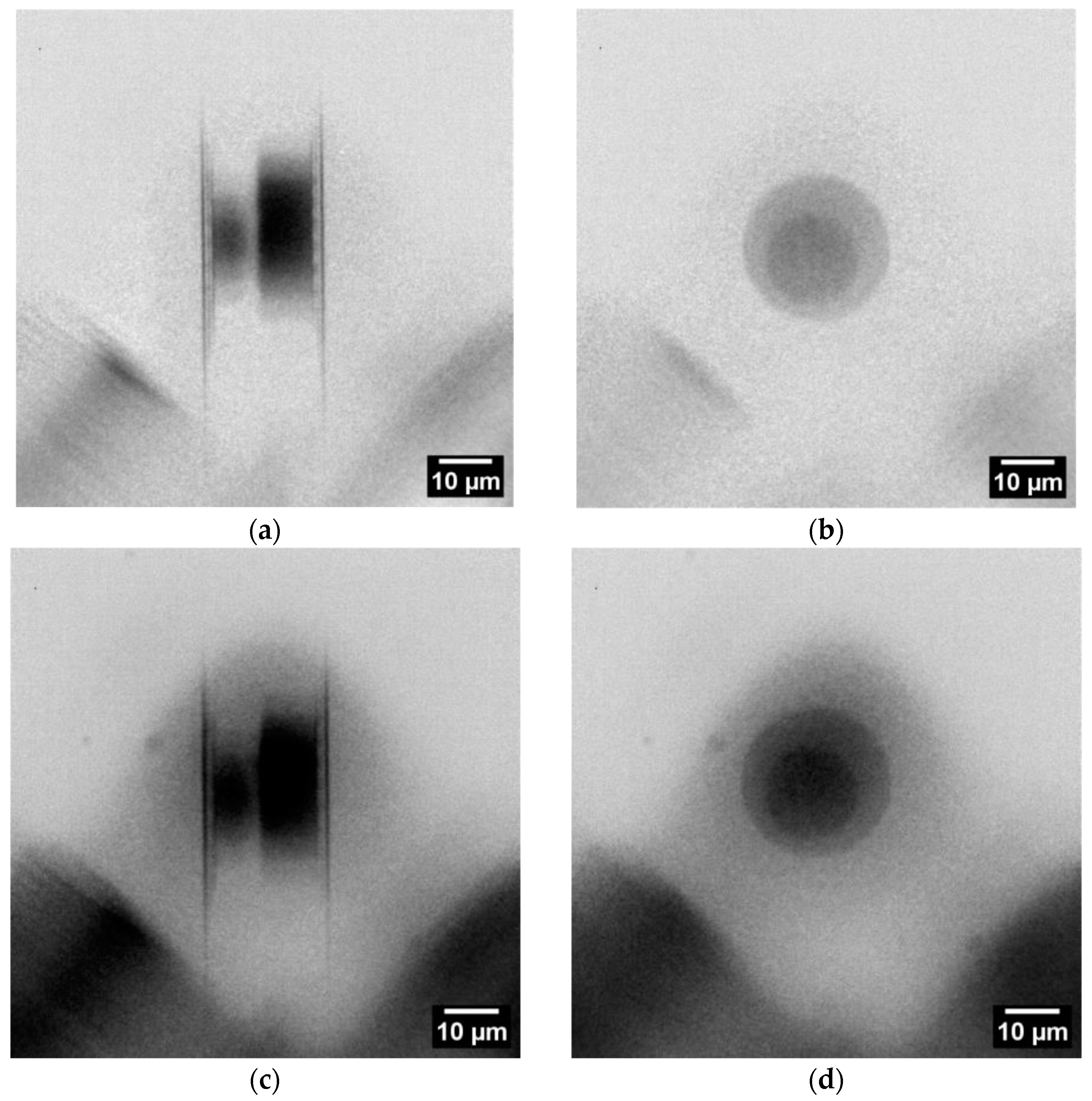 Nanomaterials 14 00233 g004 Nanomaterials 14 00233 g004