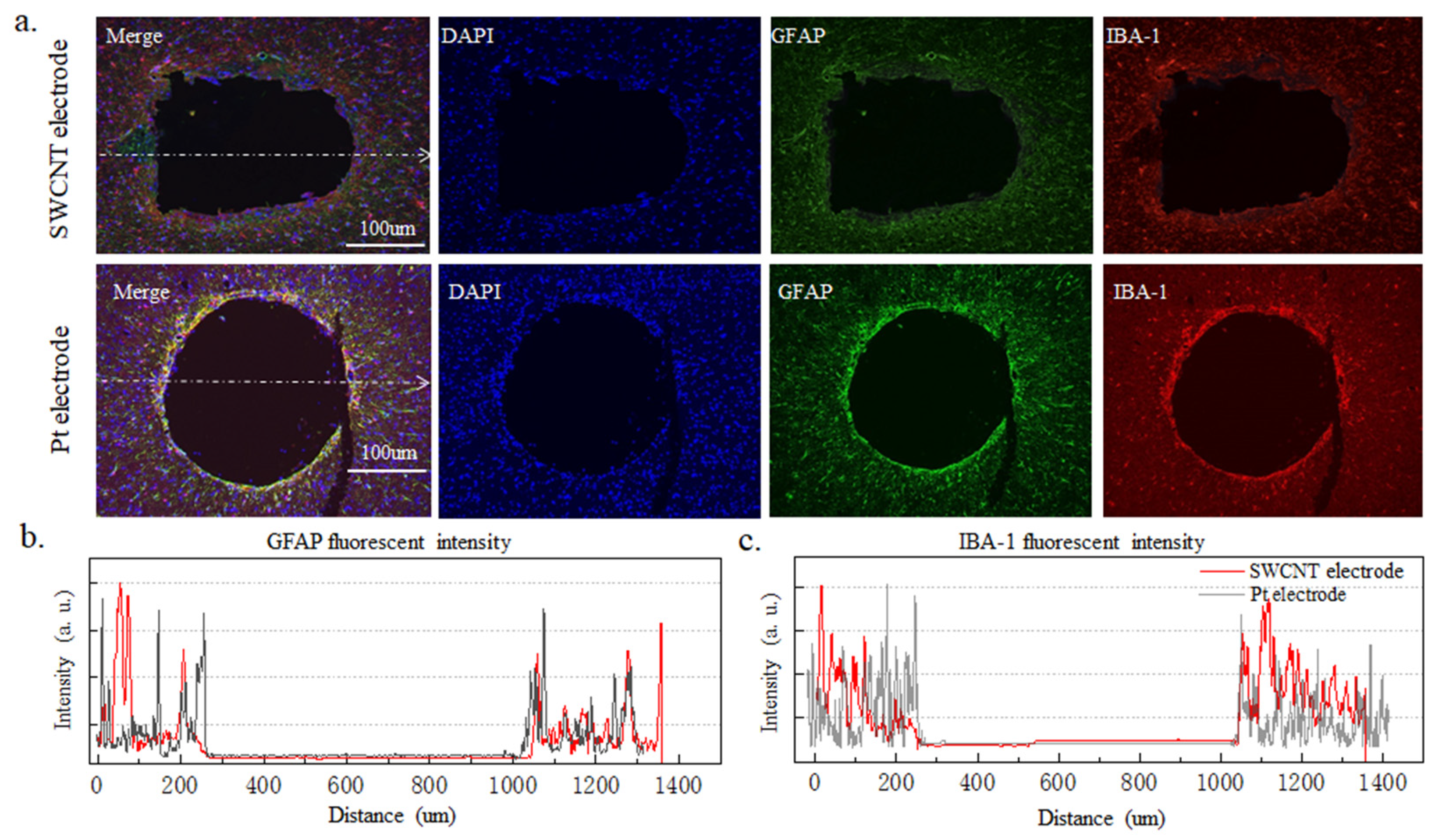 Nanomaterials 14 00240 g006