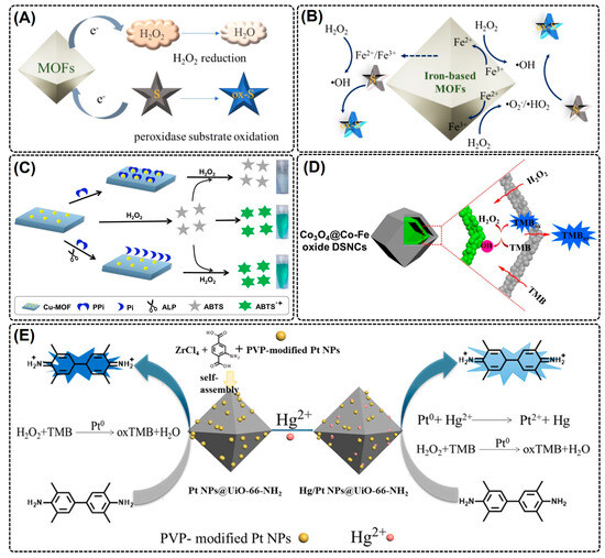 Nanomaterials 14 00244 g002