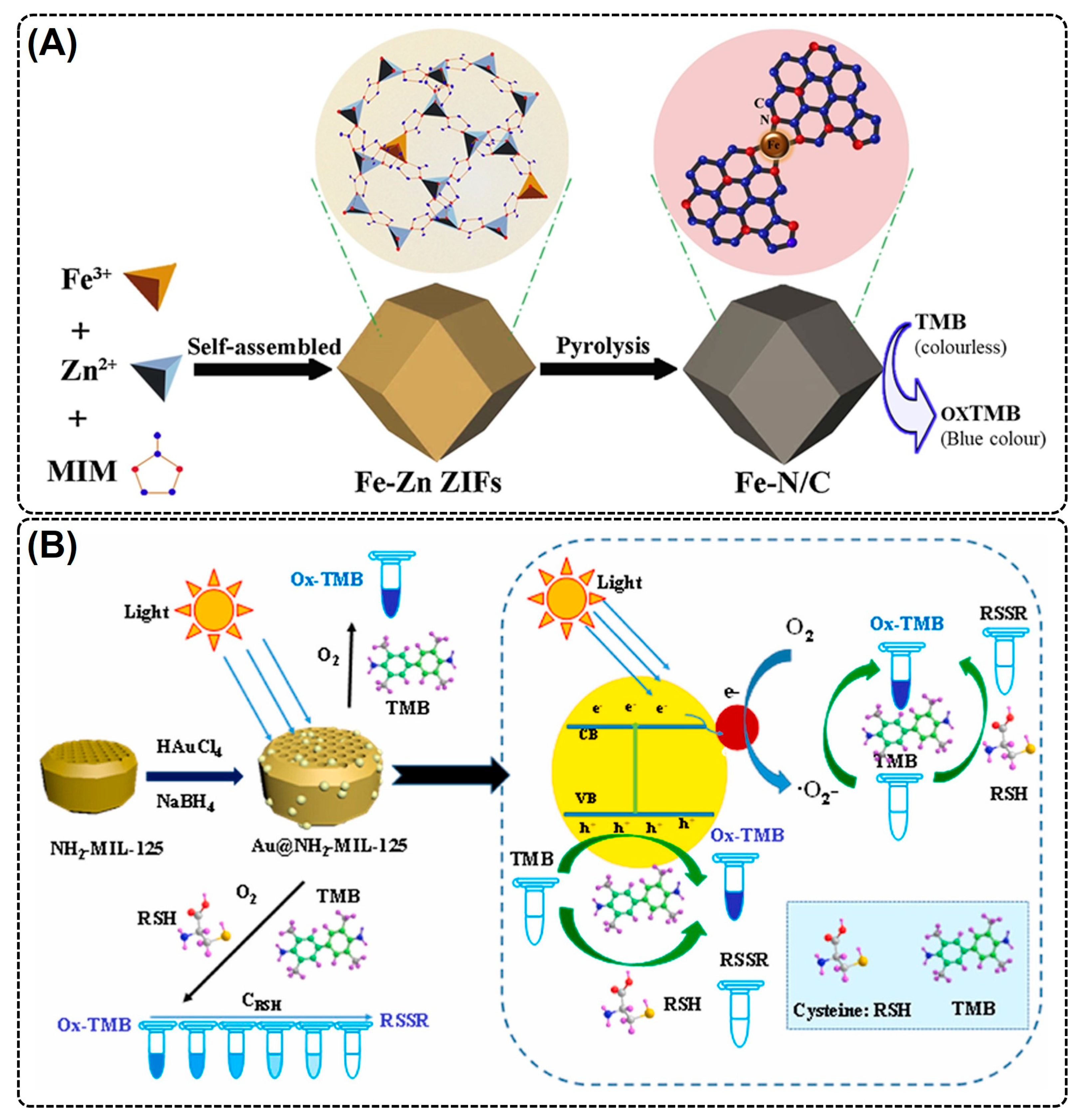 Nanomaterials 14 00244 g003