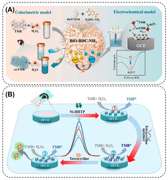 Nanomaterials 14 00244 g008