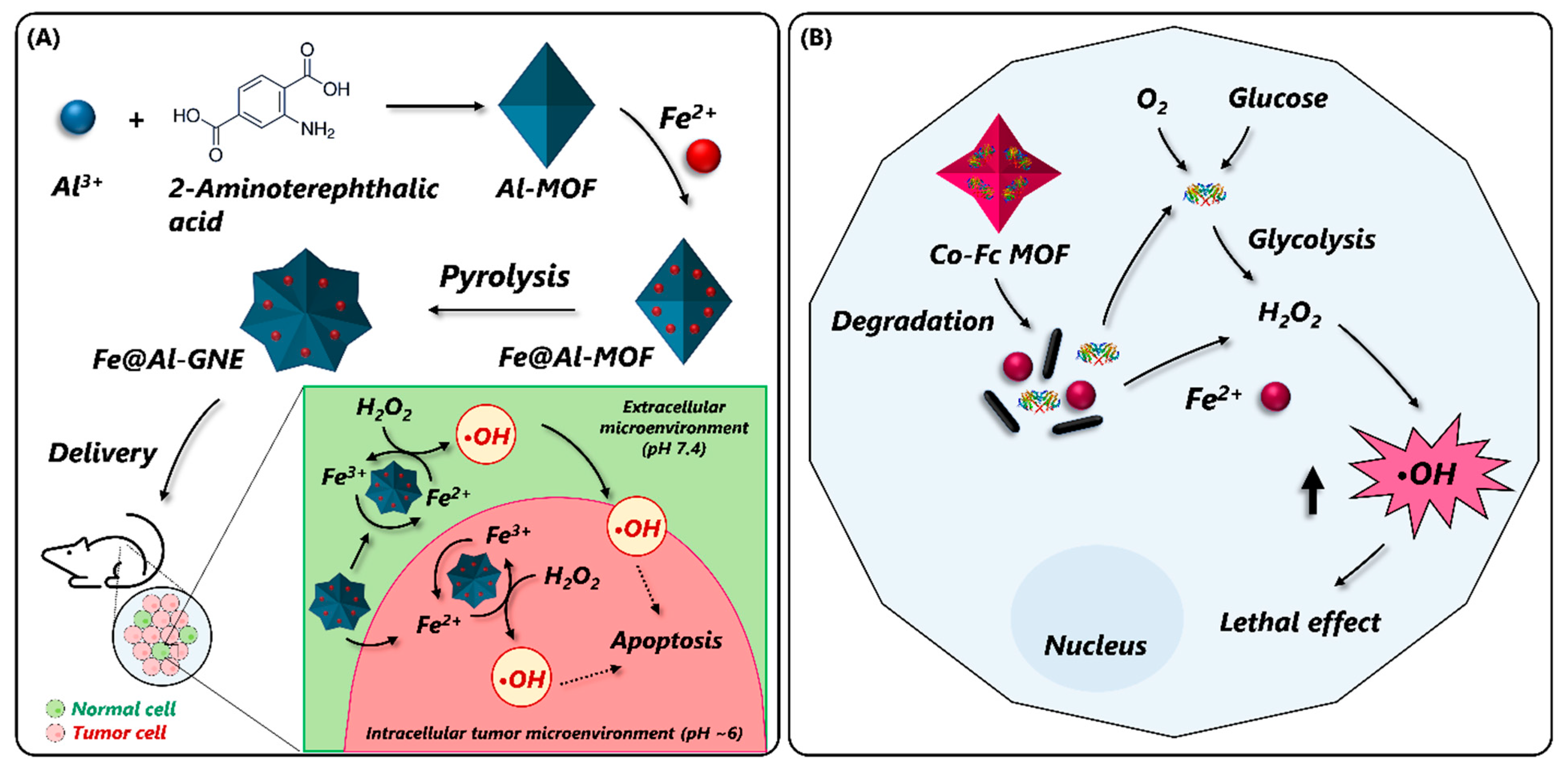 Nanomaterials 14 00244 g009