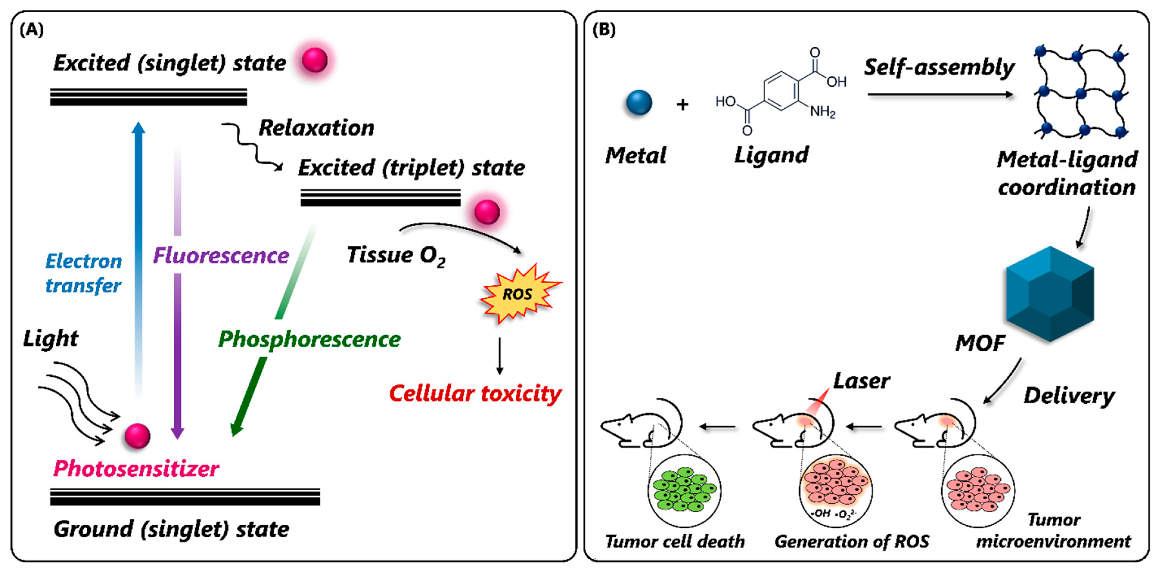 Nanomaterials 14 00244 g010