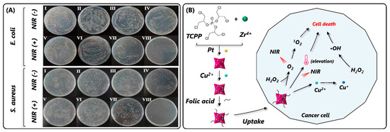 Nanomaterials 14 00244 g011