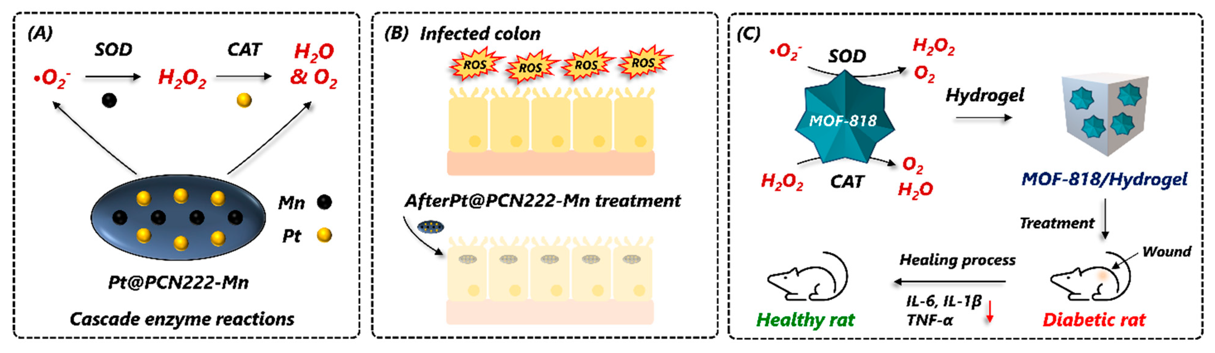Nanomaterials 14 00244 g012