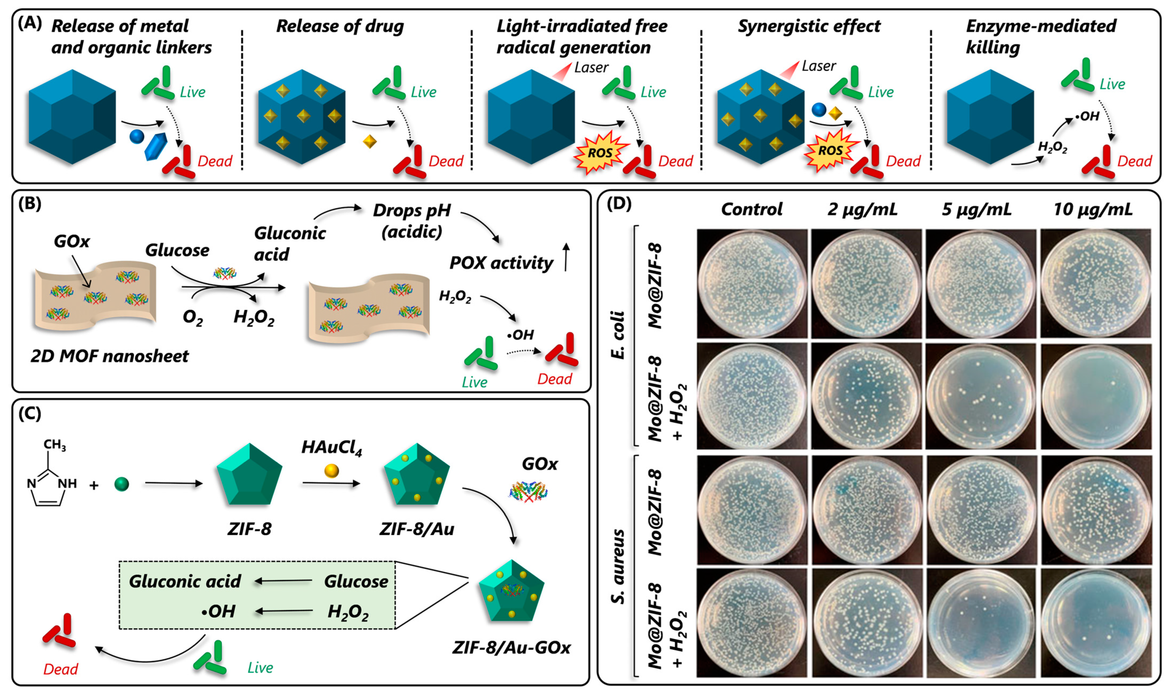 Nanomaterials 14 00244 g013