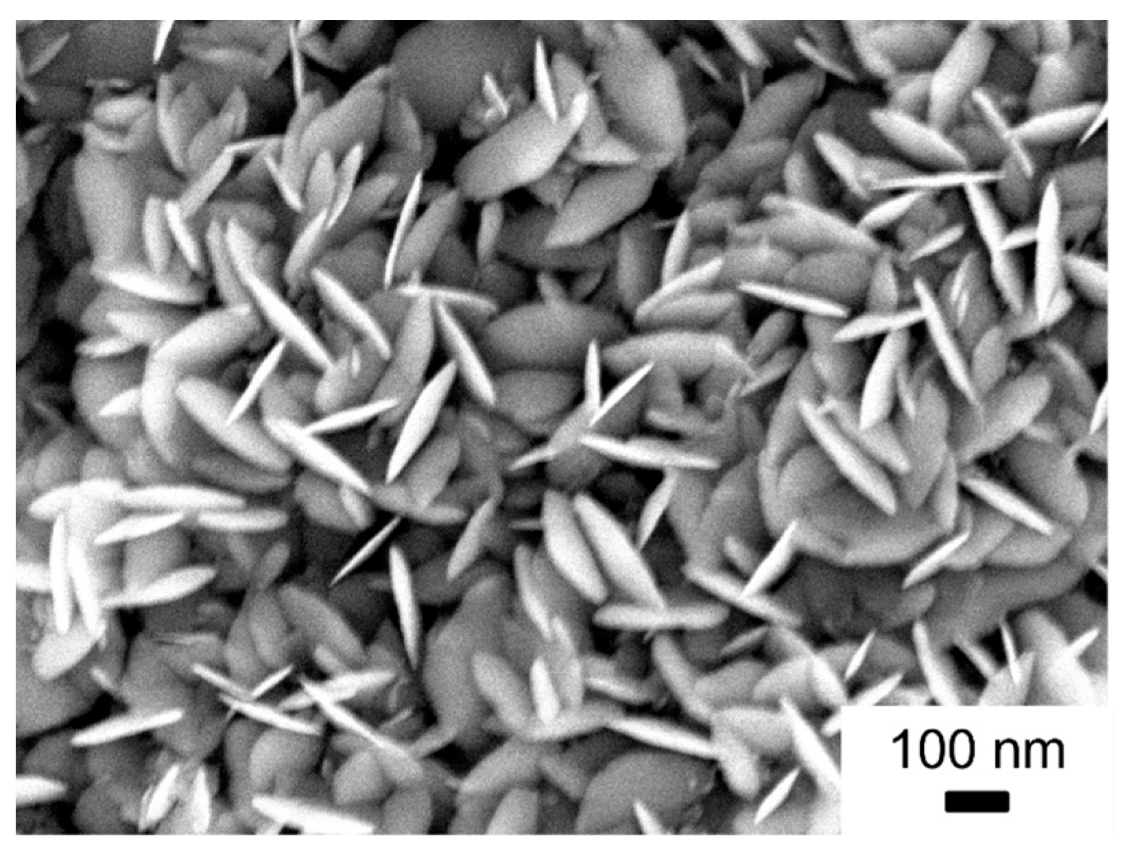 Nanomaterials 14 00252 g005