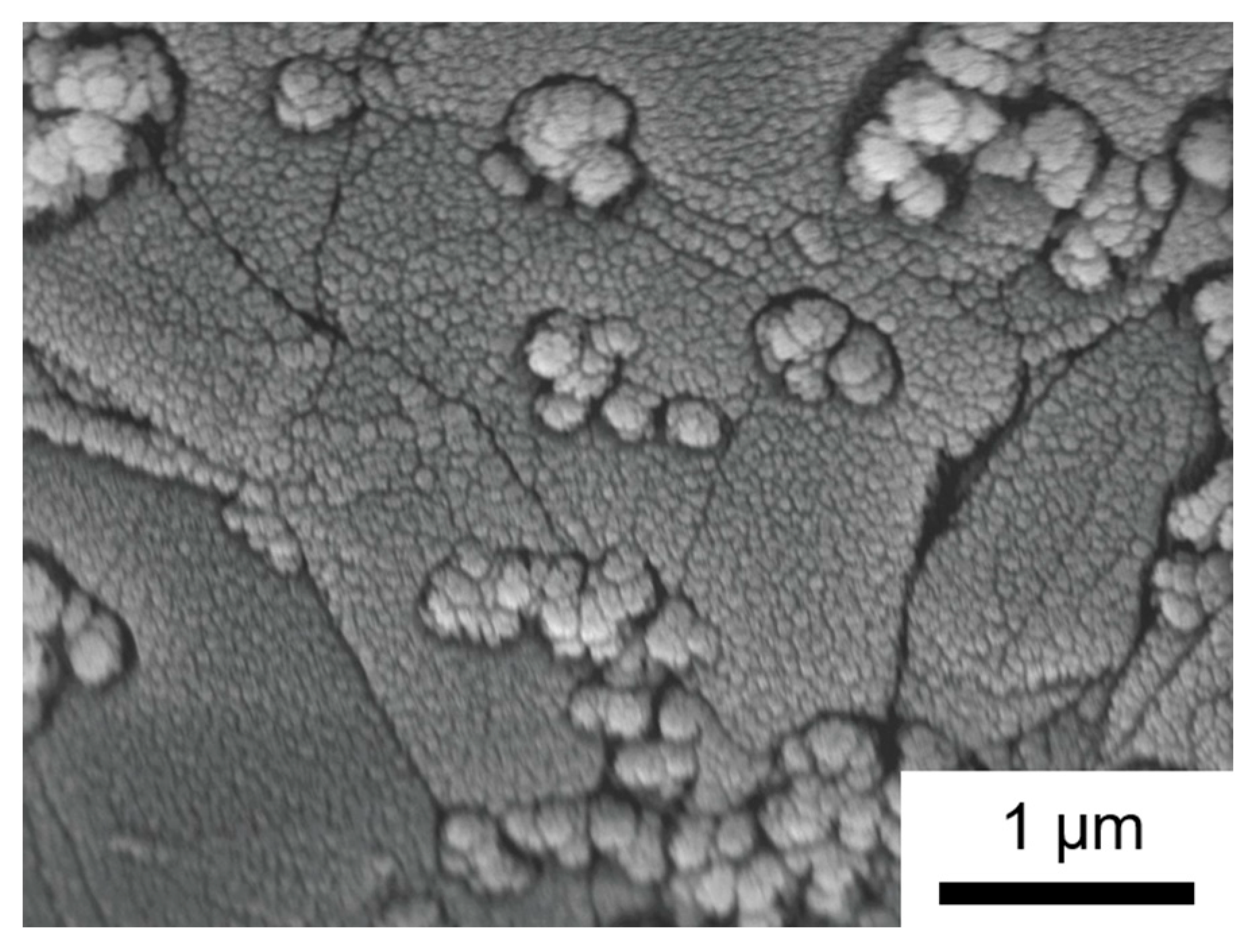 Nanomaterials 14 00252 g008