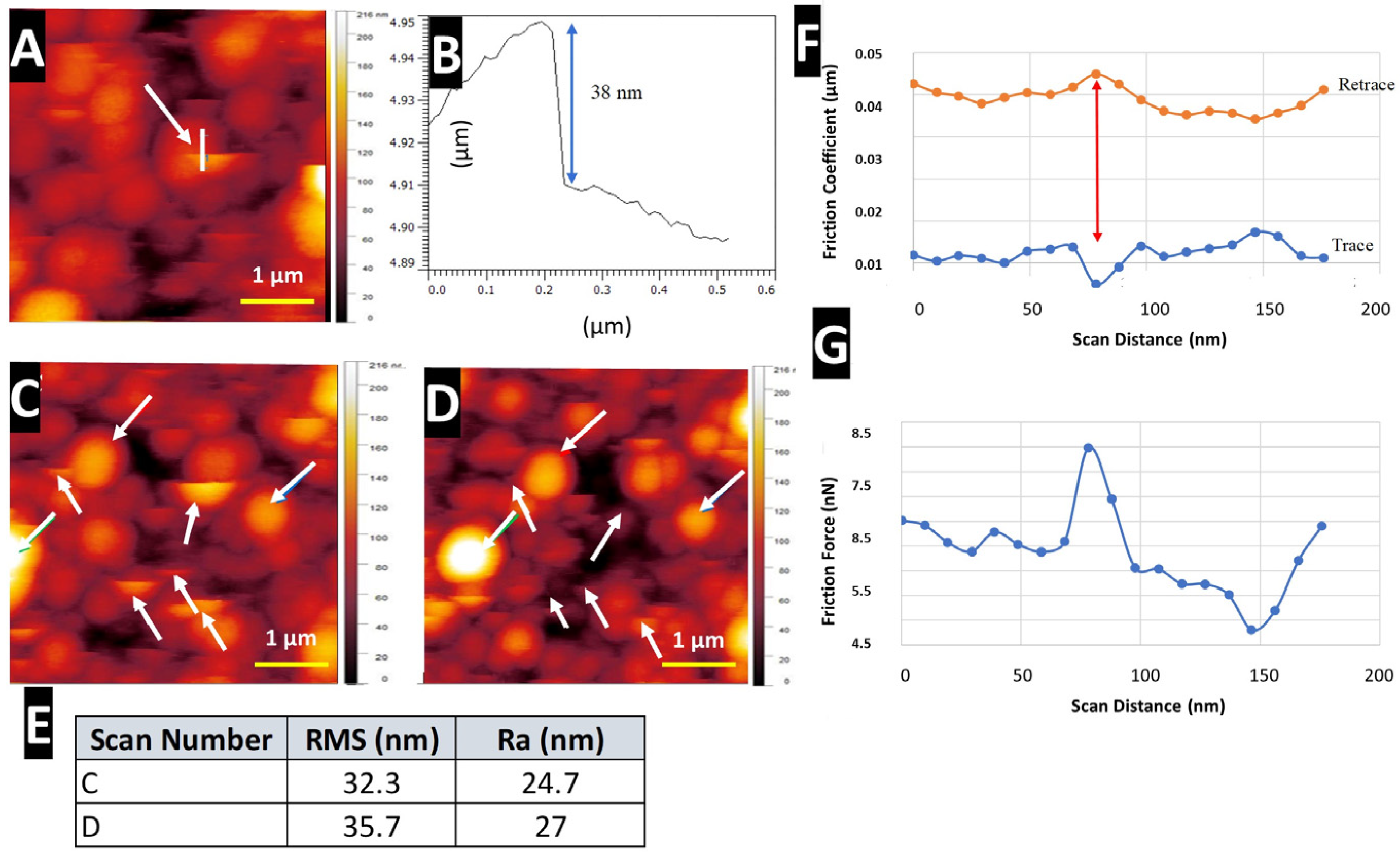 Nanomaterials 14 00253 g007