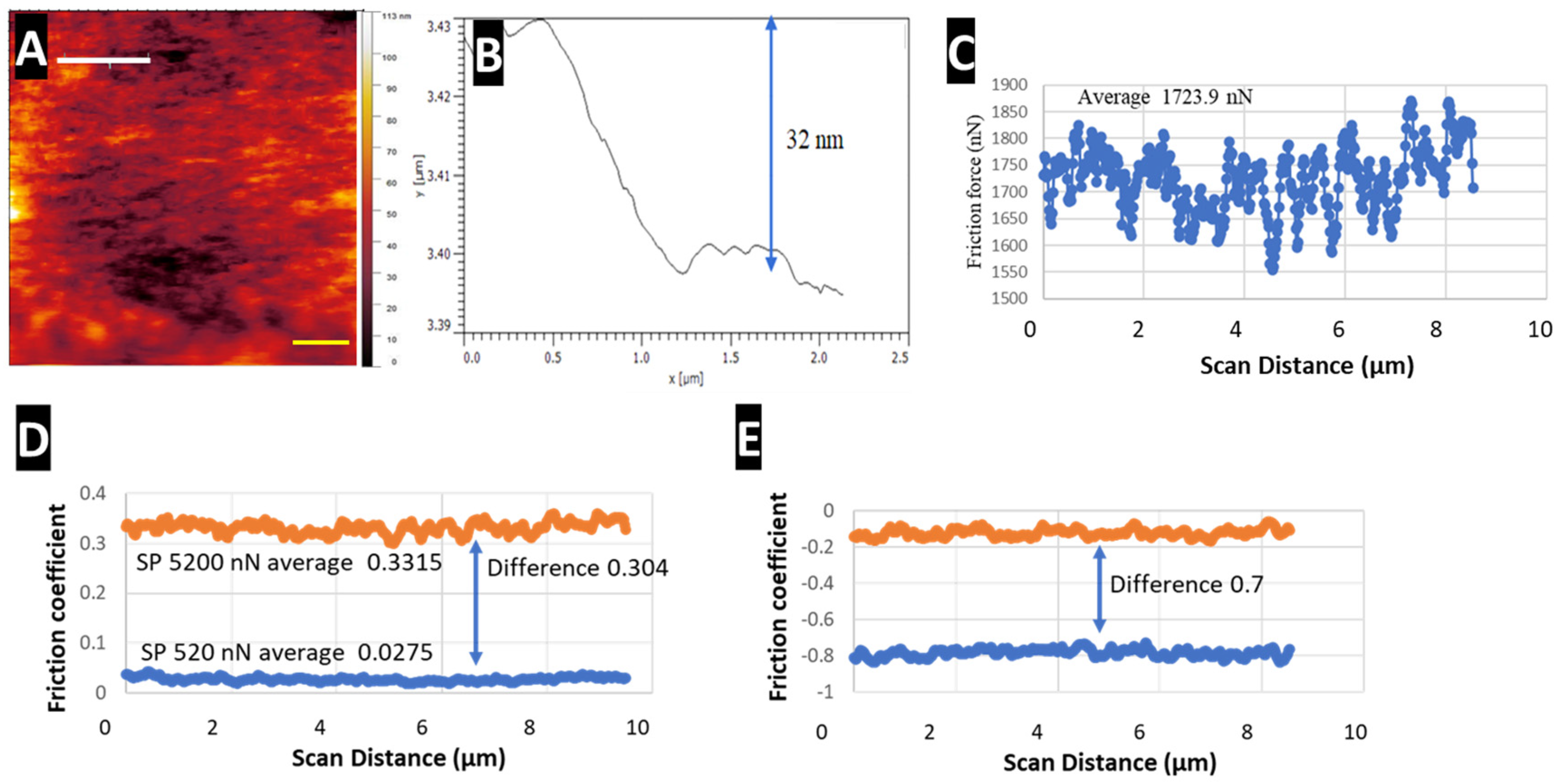 Nanomaterials 14 00253 g008