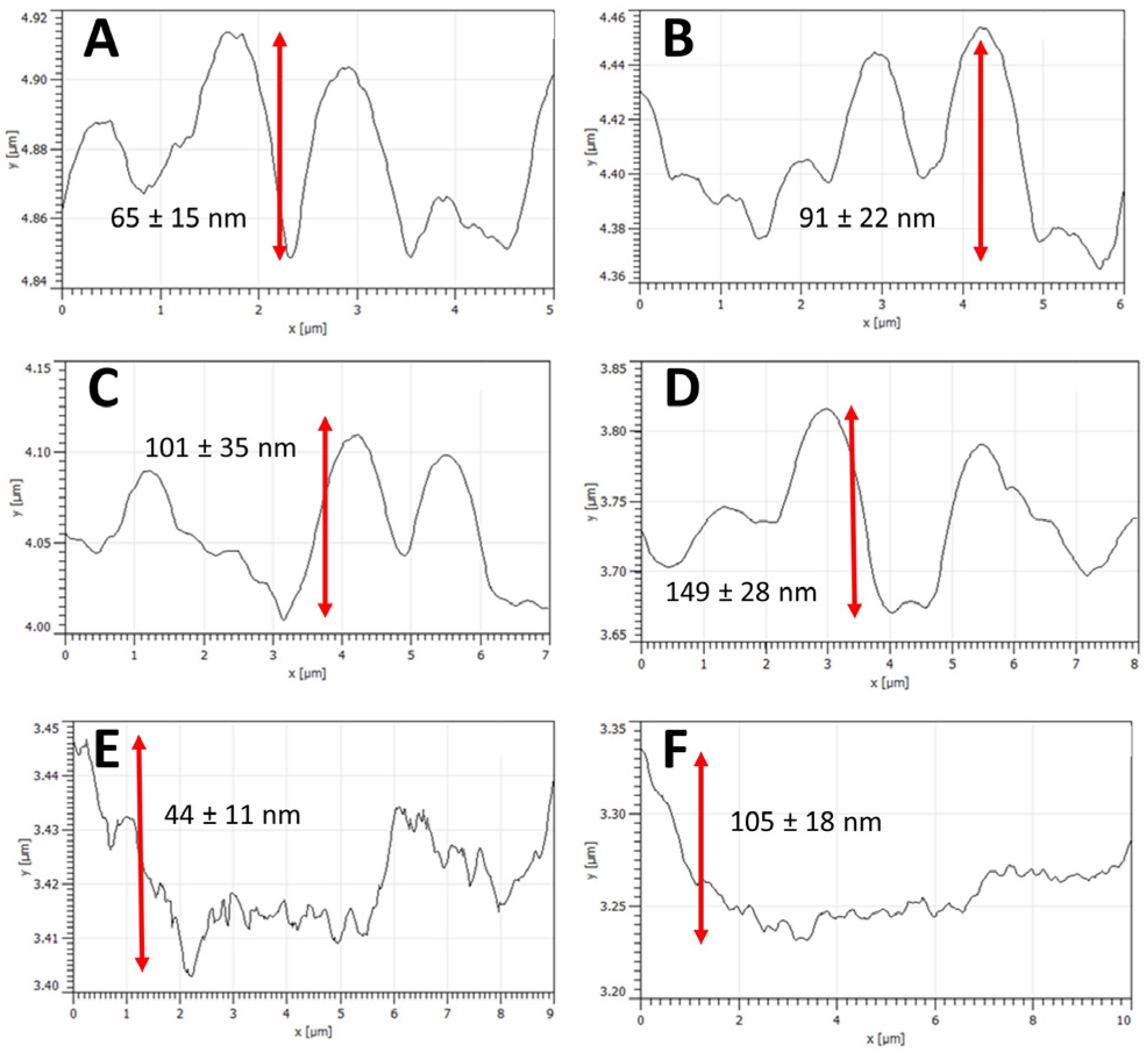 Nanomaterials 14 00253 g010