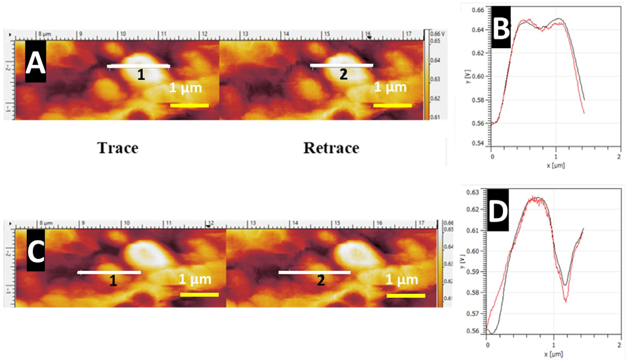 Nanomaterials 14 00253 g012