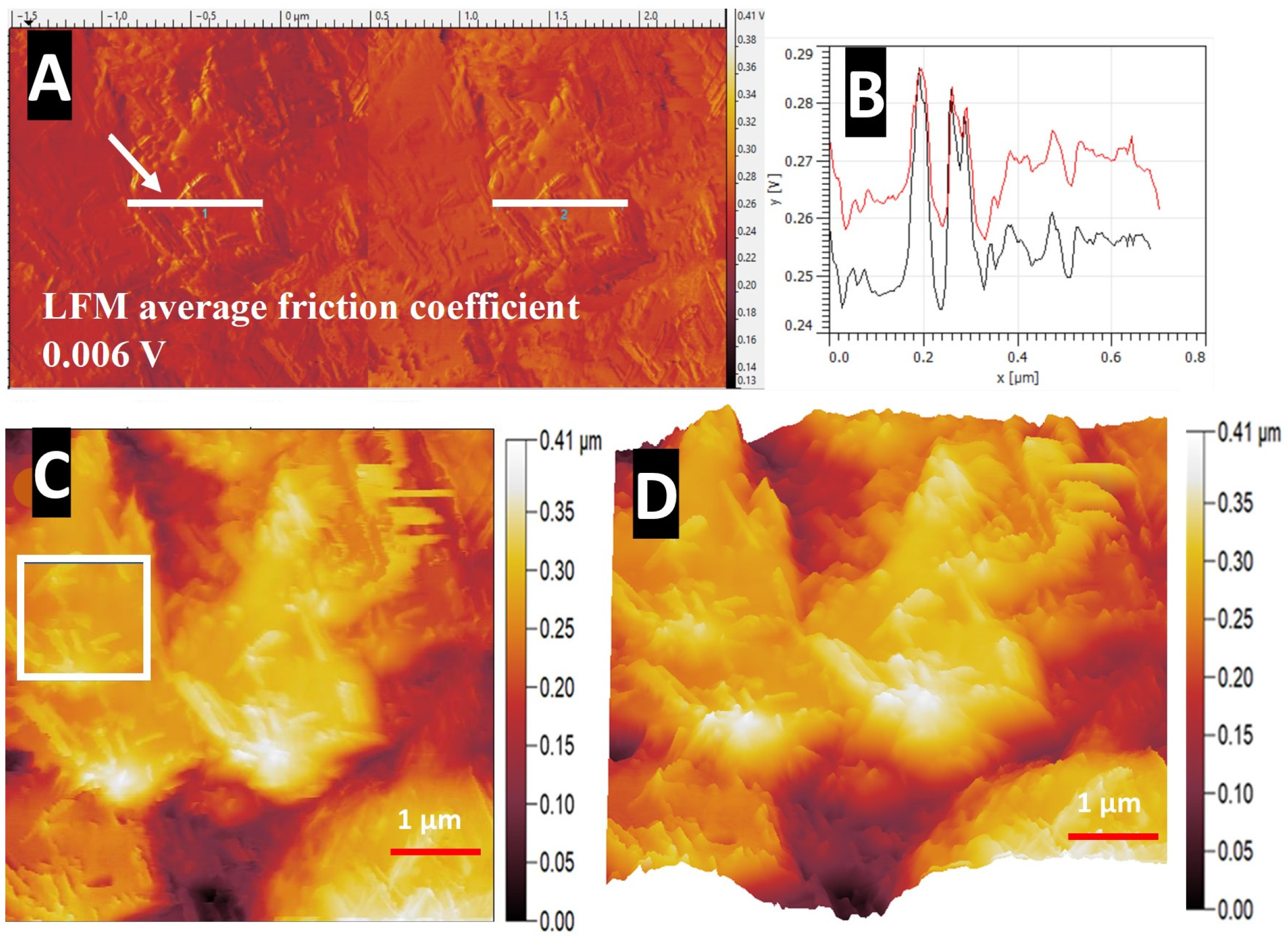 Nanomaterials 14 00253 g014