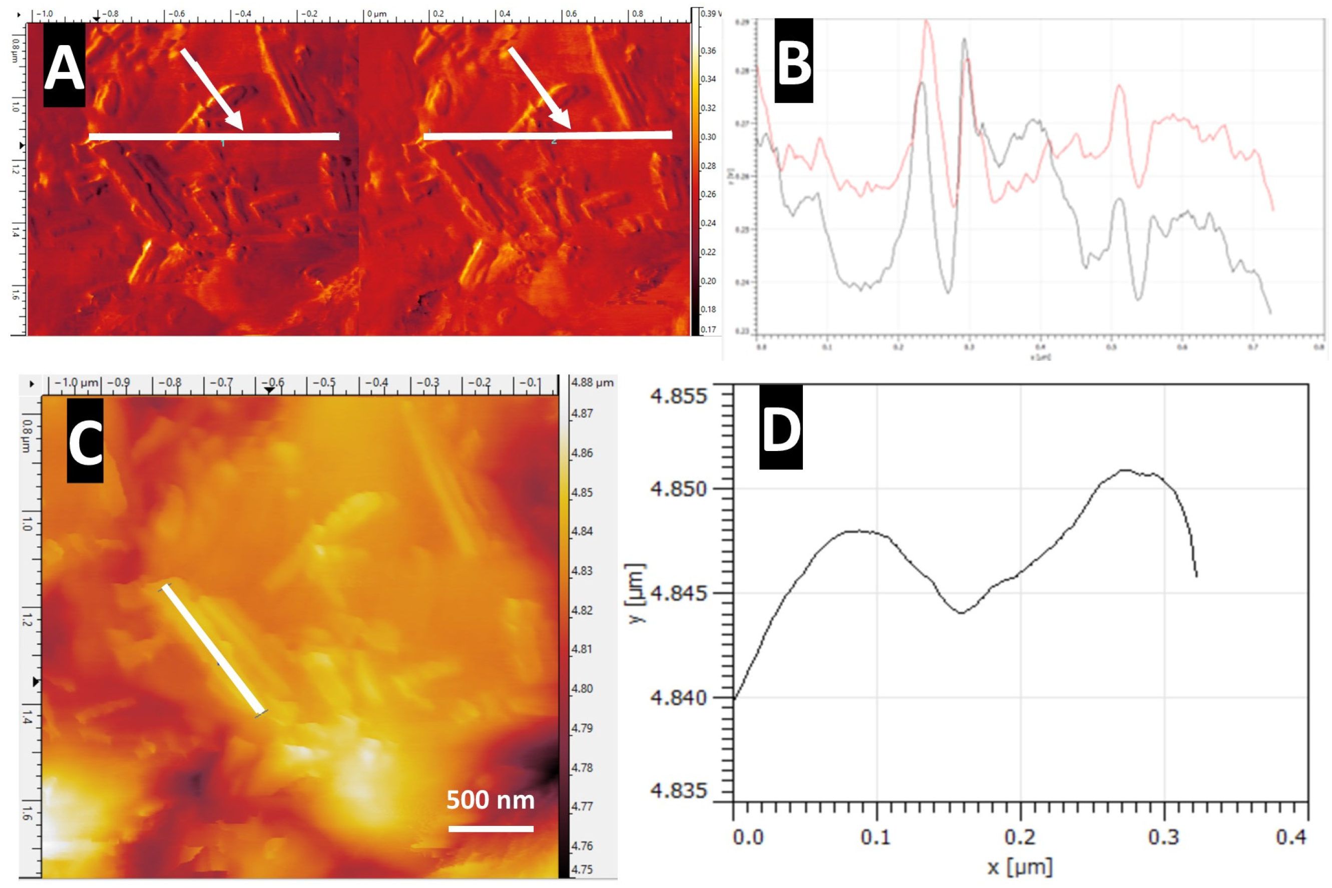 Nanomaterials 14 00253 g015