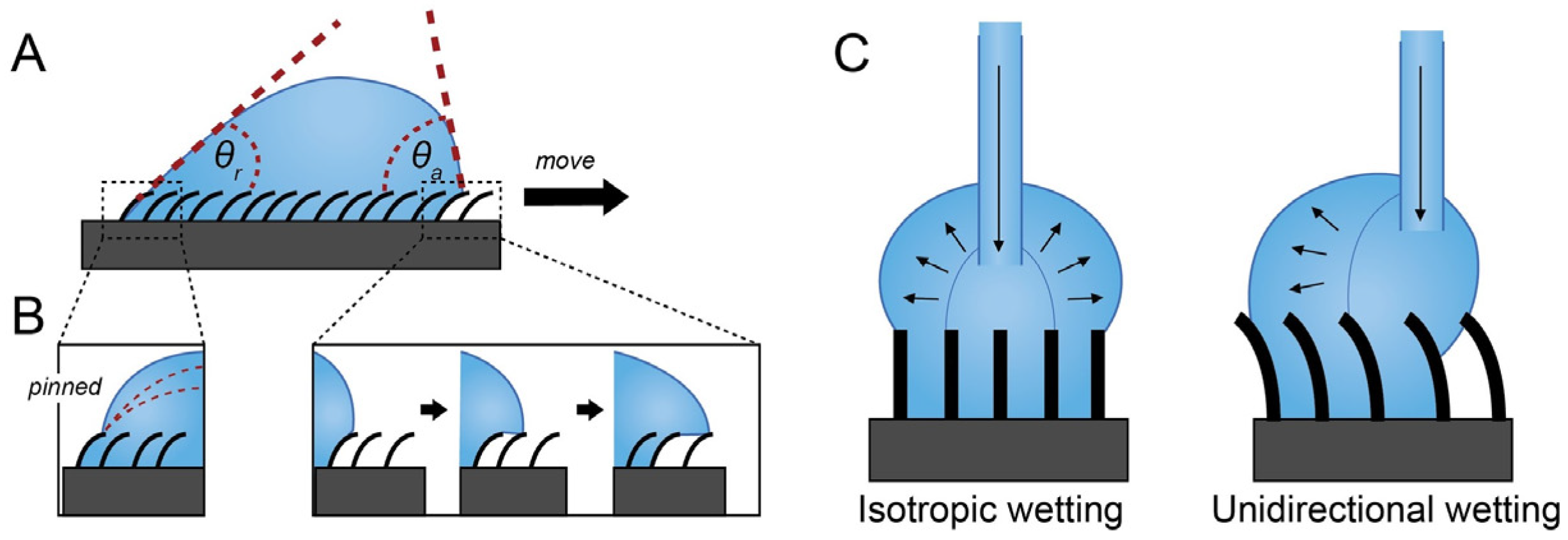 Nanomaterials 14 00253 sch002