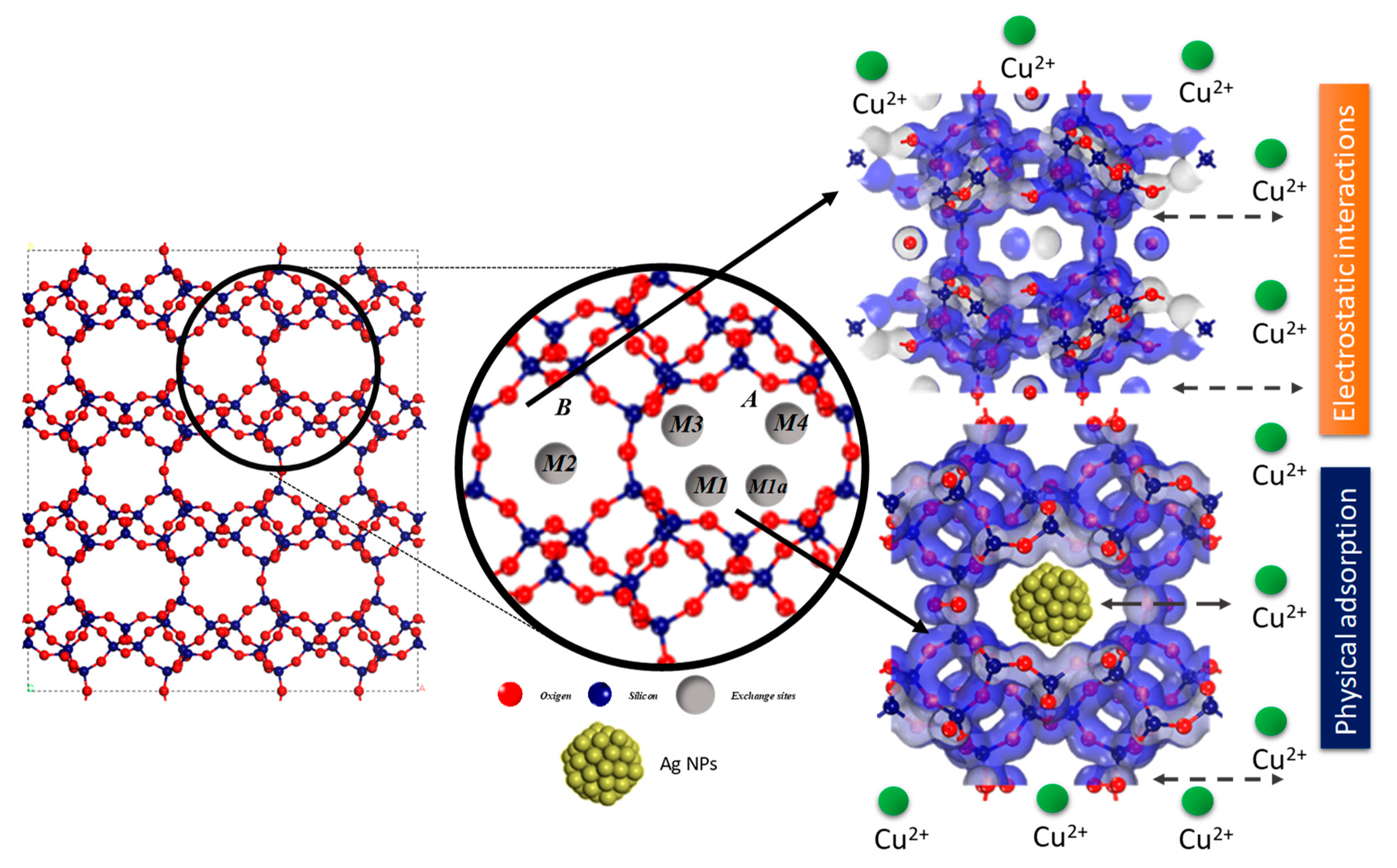 Nanomaterials 14 00258 g009 Nanomaterials 14 00258 g009