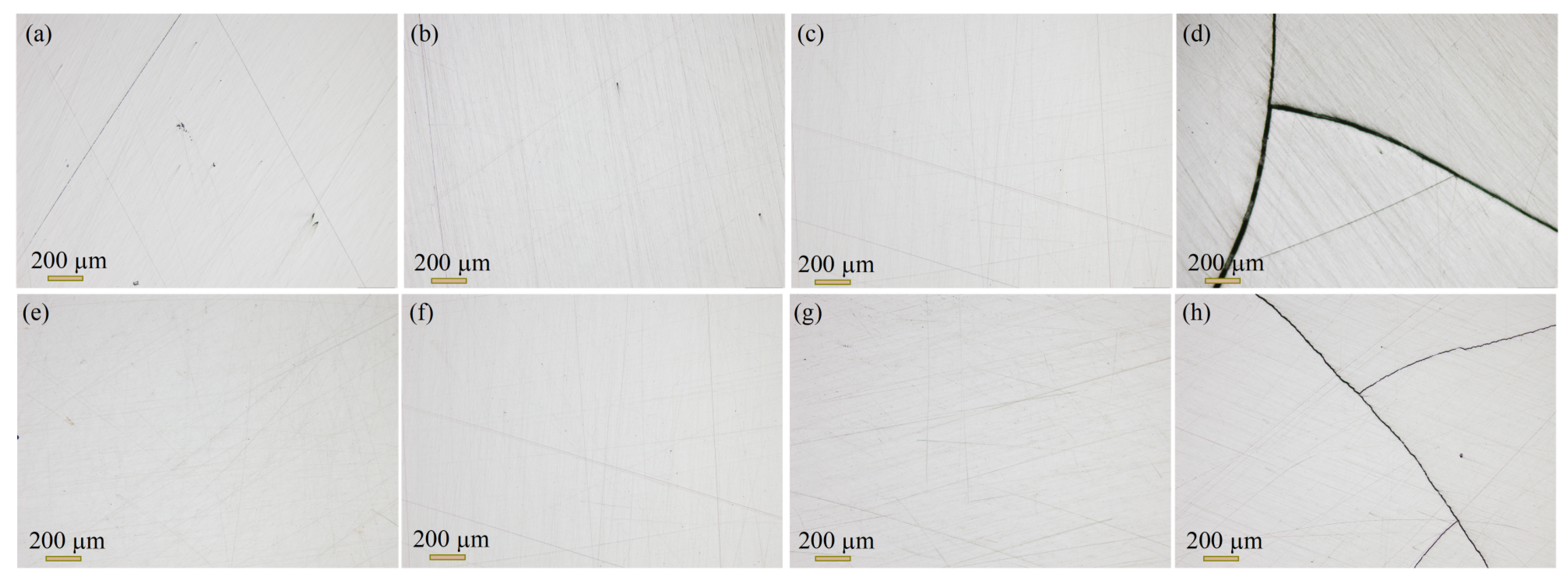 Nanomaterials 14 00260 g005
