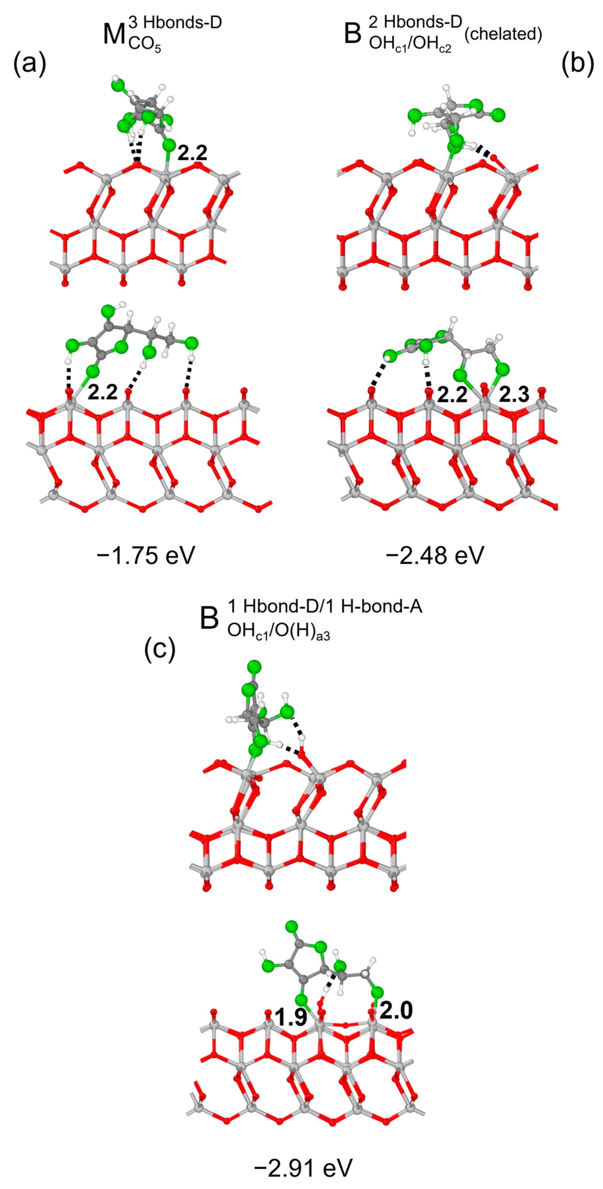 Nanomaterials 14 00261 g008