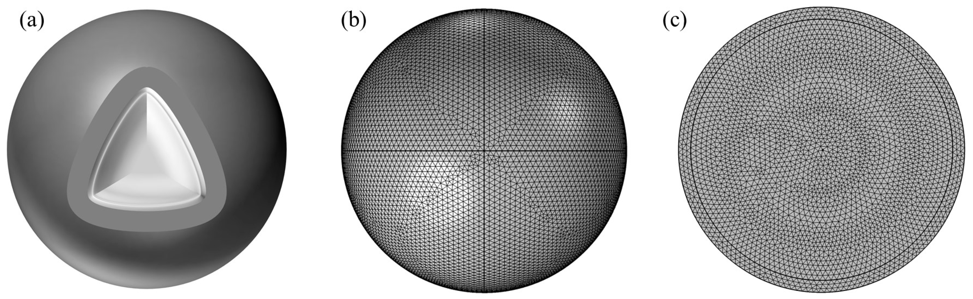 Nanomaterials 14 00265 g002