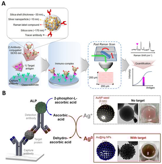 Nanomaterials 14 00268 g006