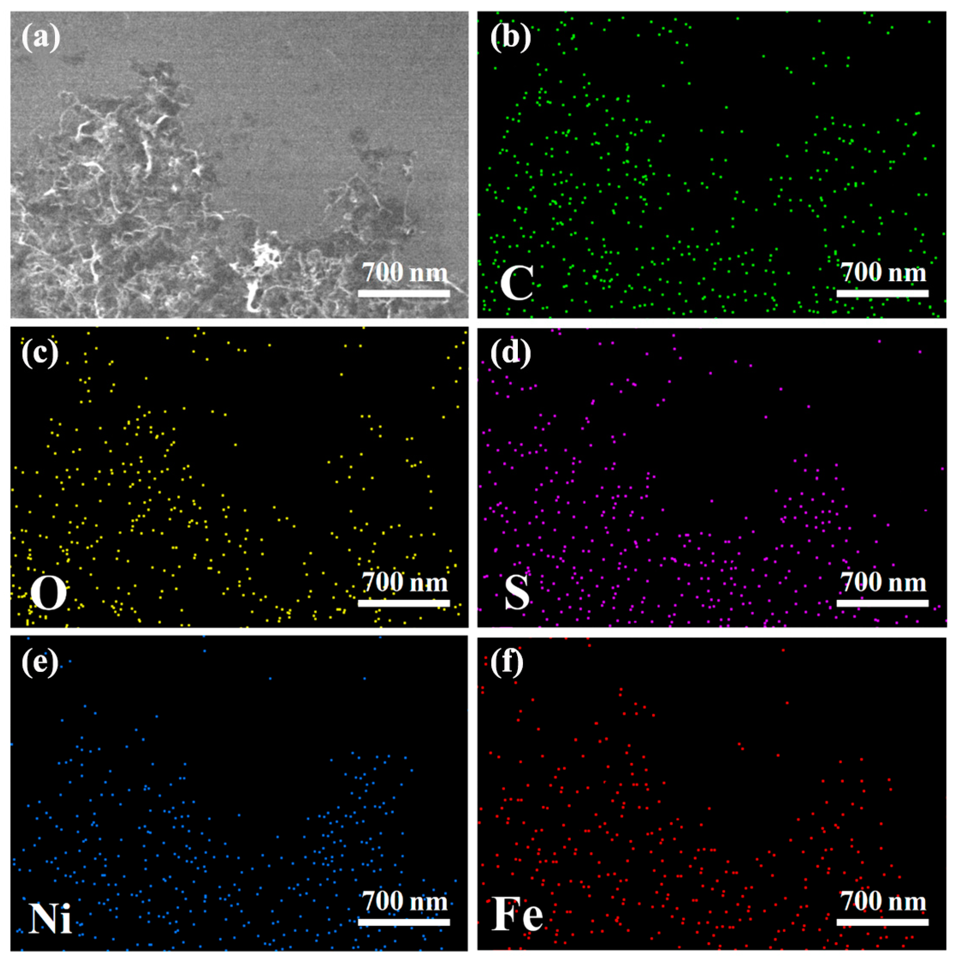 Nanomaterials 14 00272 g003 Nanomaterials 14 00272 g003