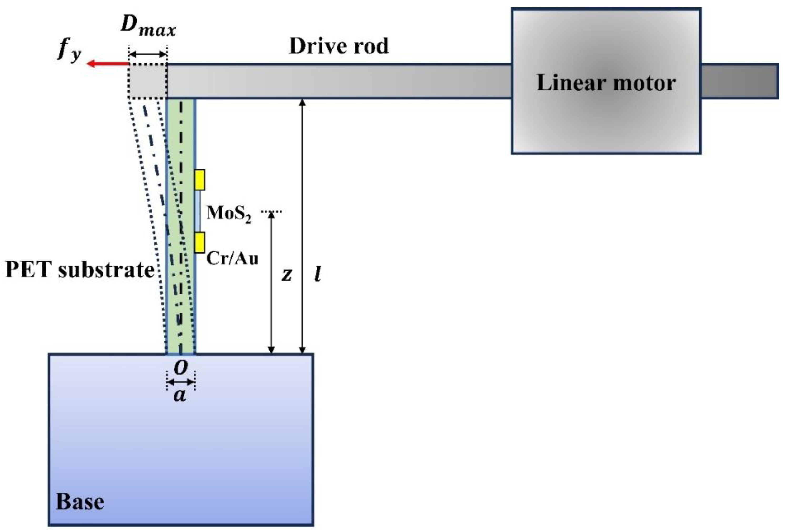 Nanomaterials 14 00275 g004