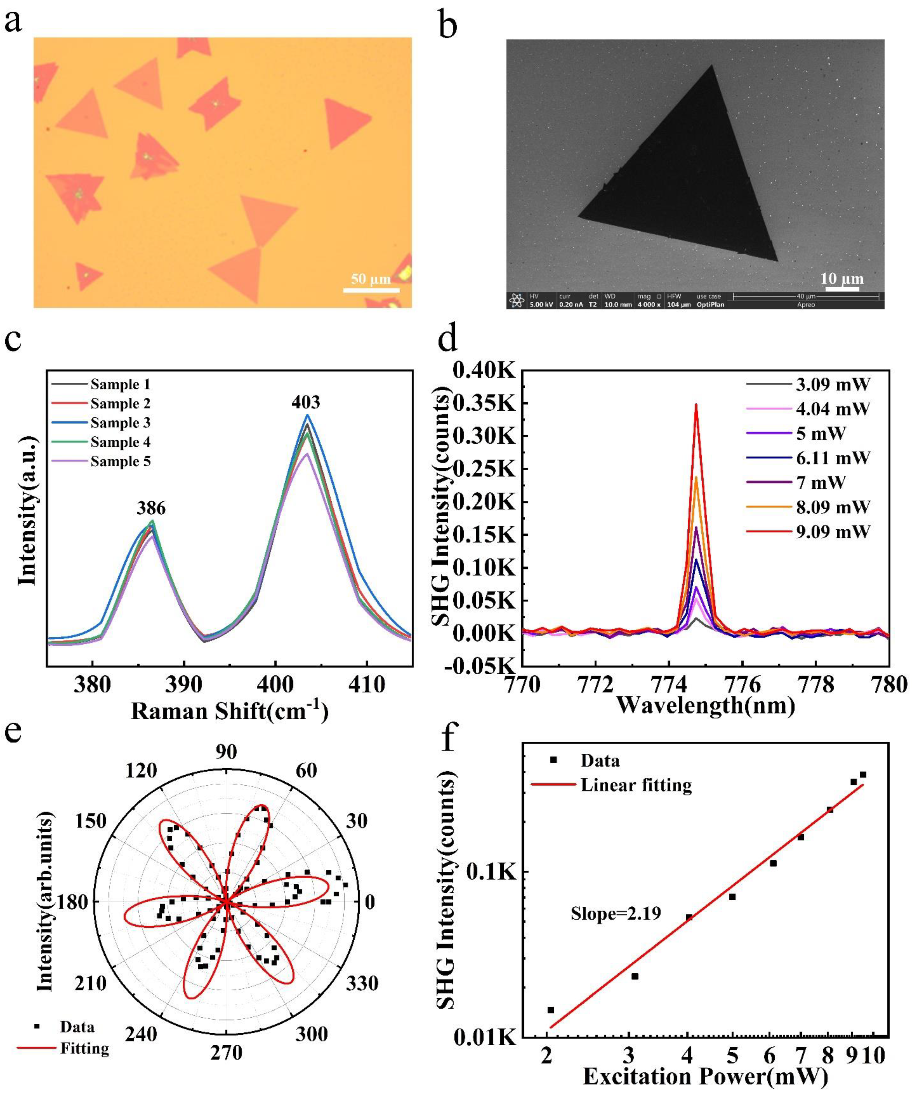 Nanomaterials 14 00275 g005