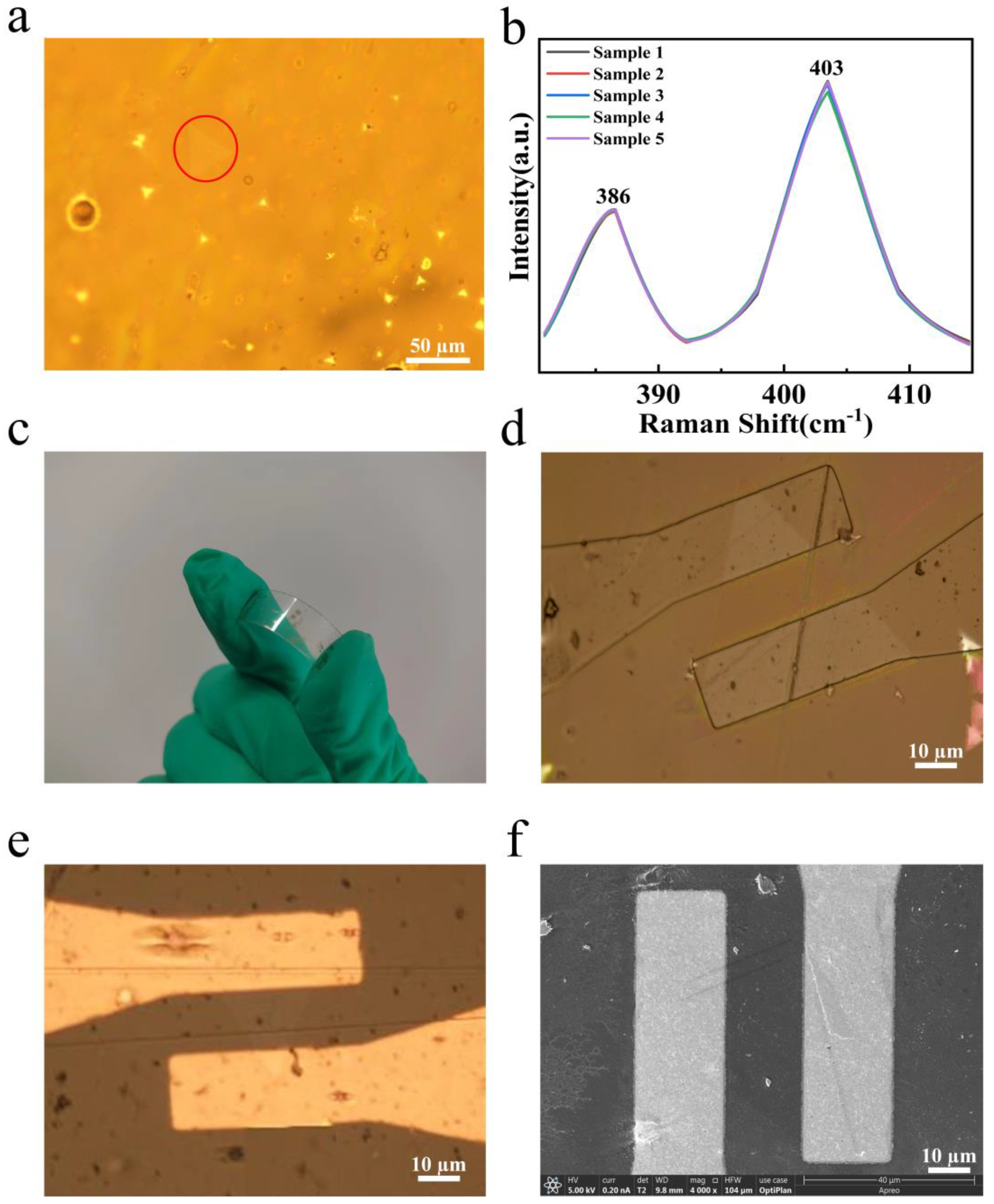 Nanomaterials 14 00275 g006