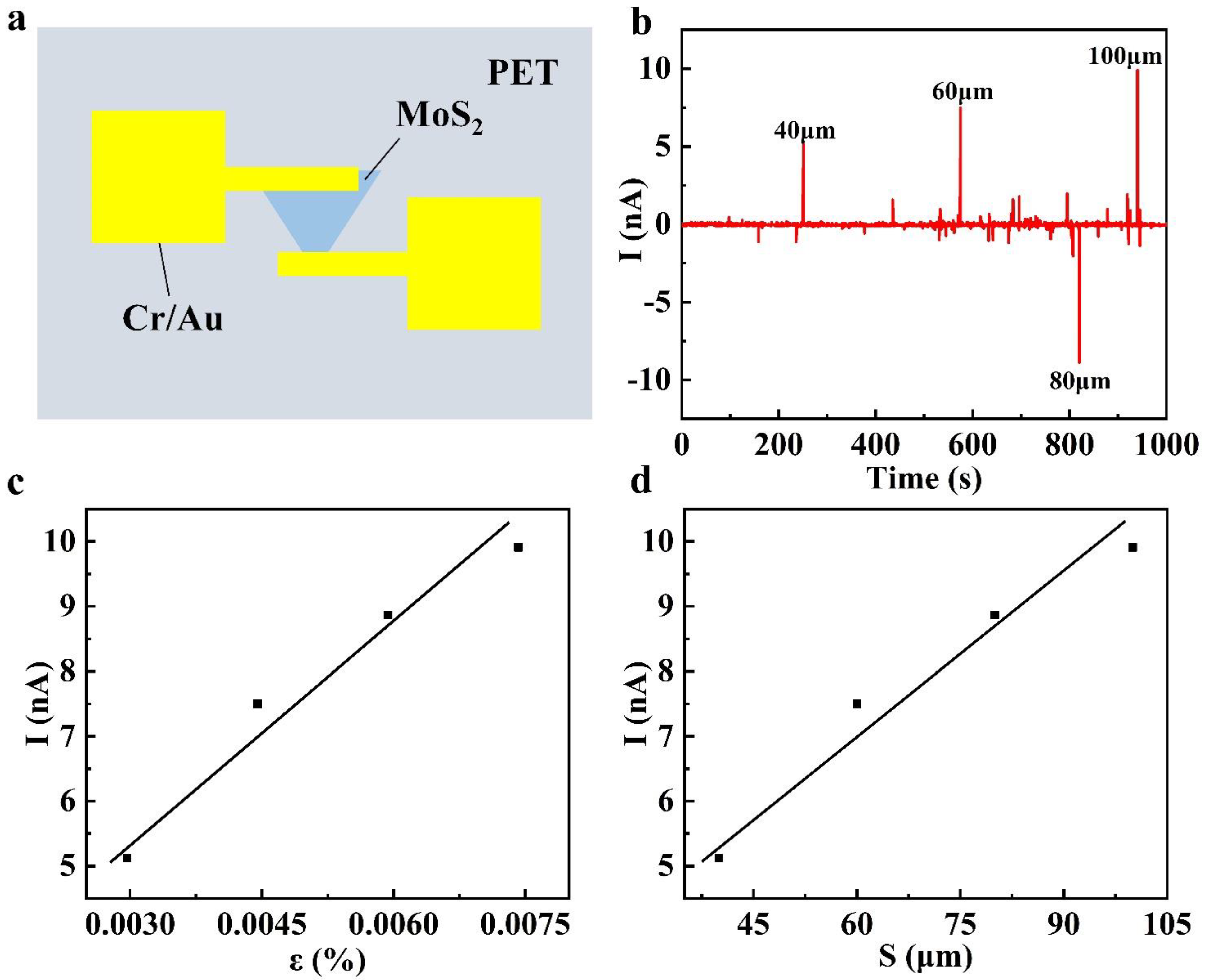 Nanomaterials 14 00275 g007