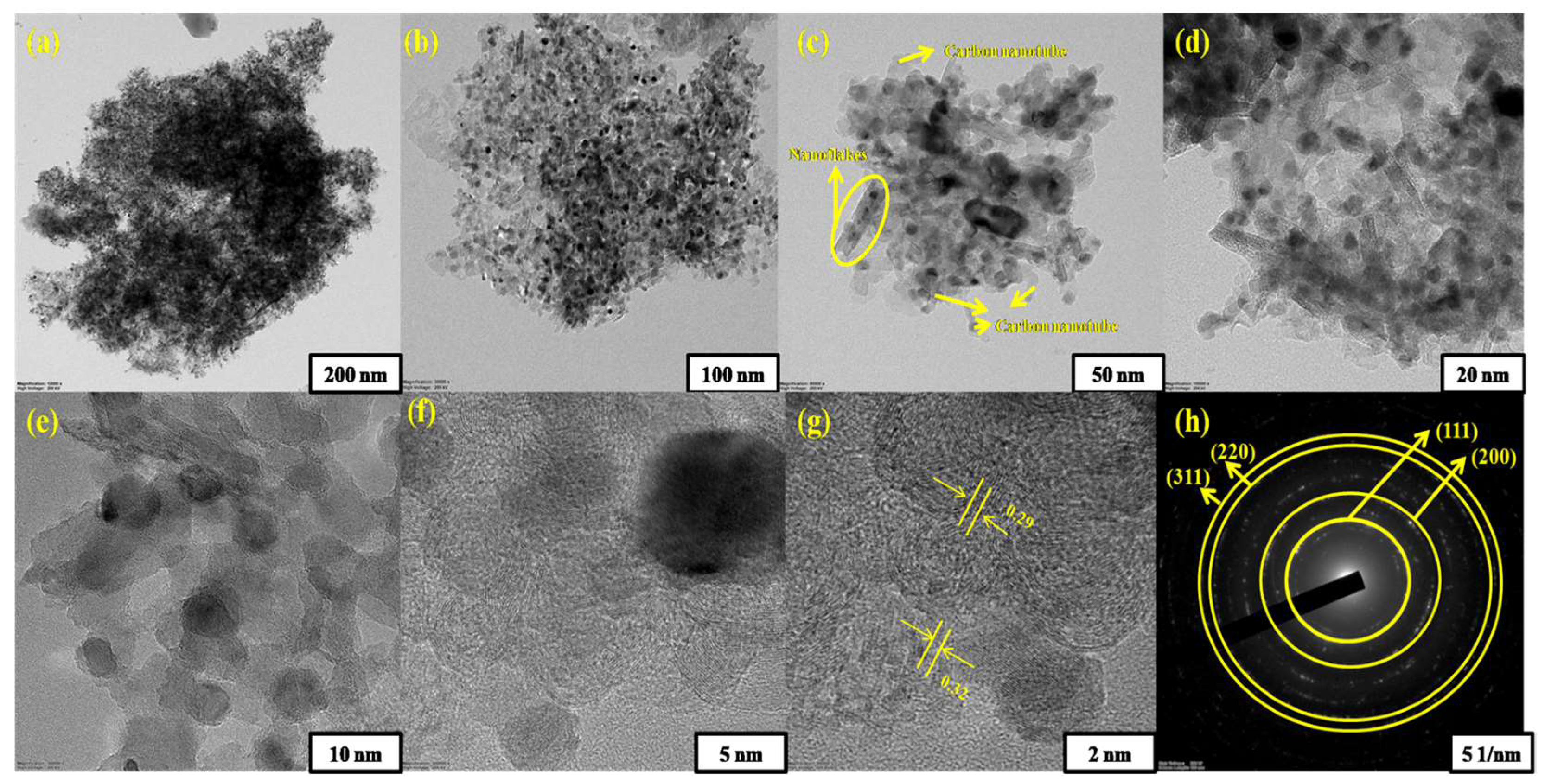 Nanomaterials 14 00280 g004