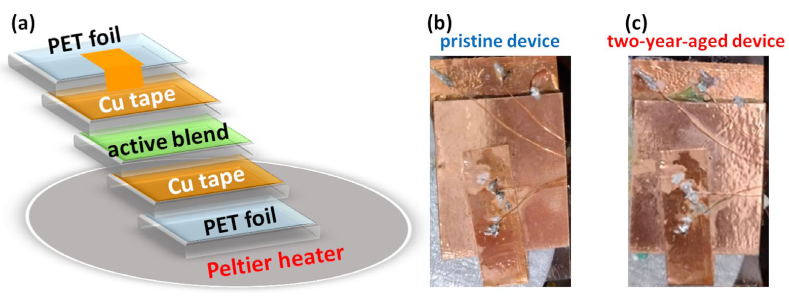 Nanomaterials 14 00283 g001