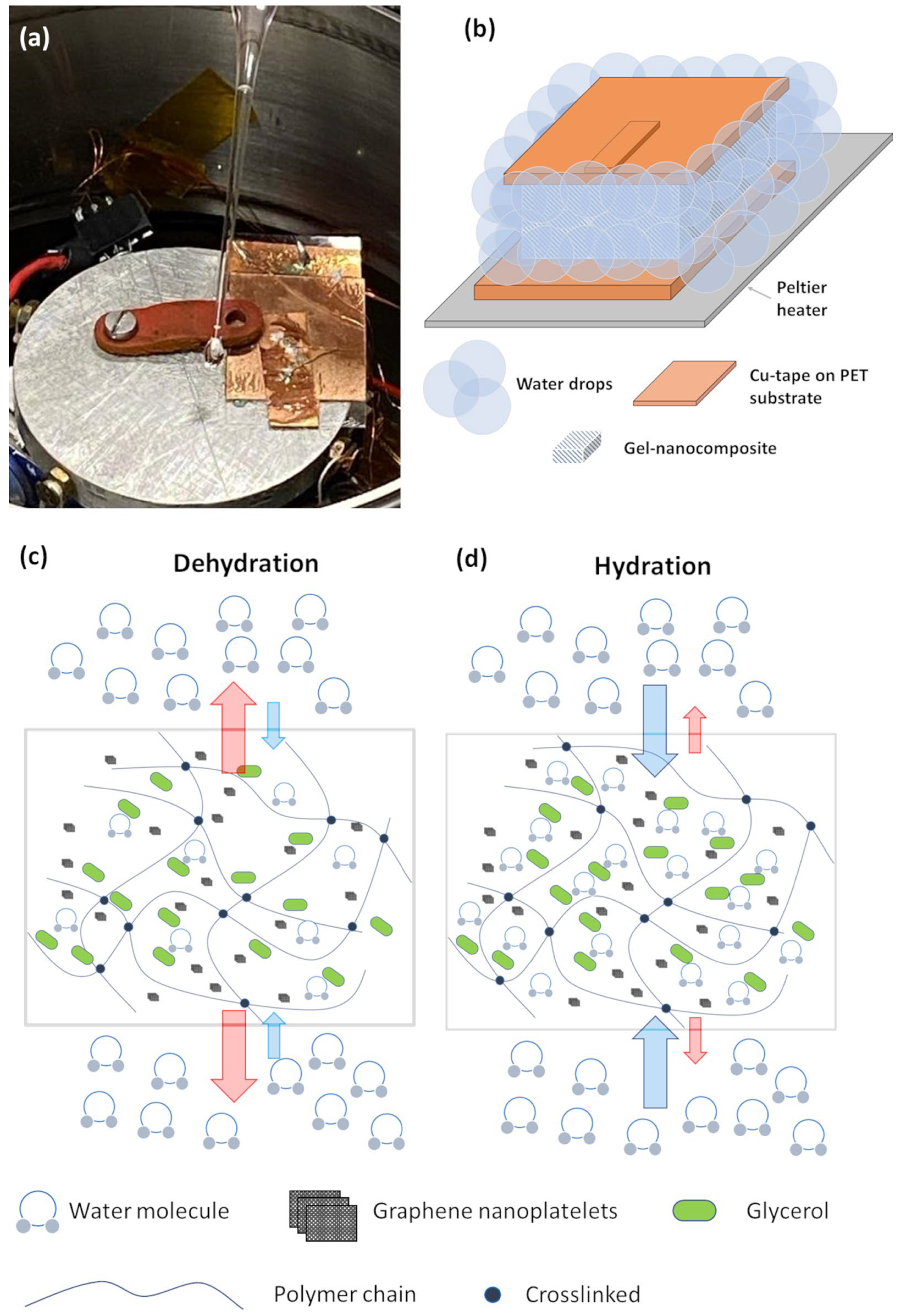 Nanomaterials 14 00283 g007