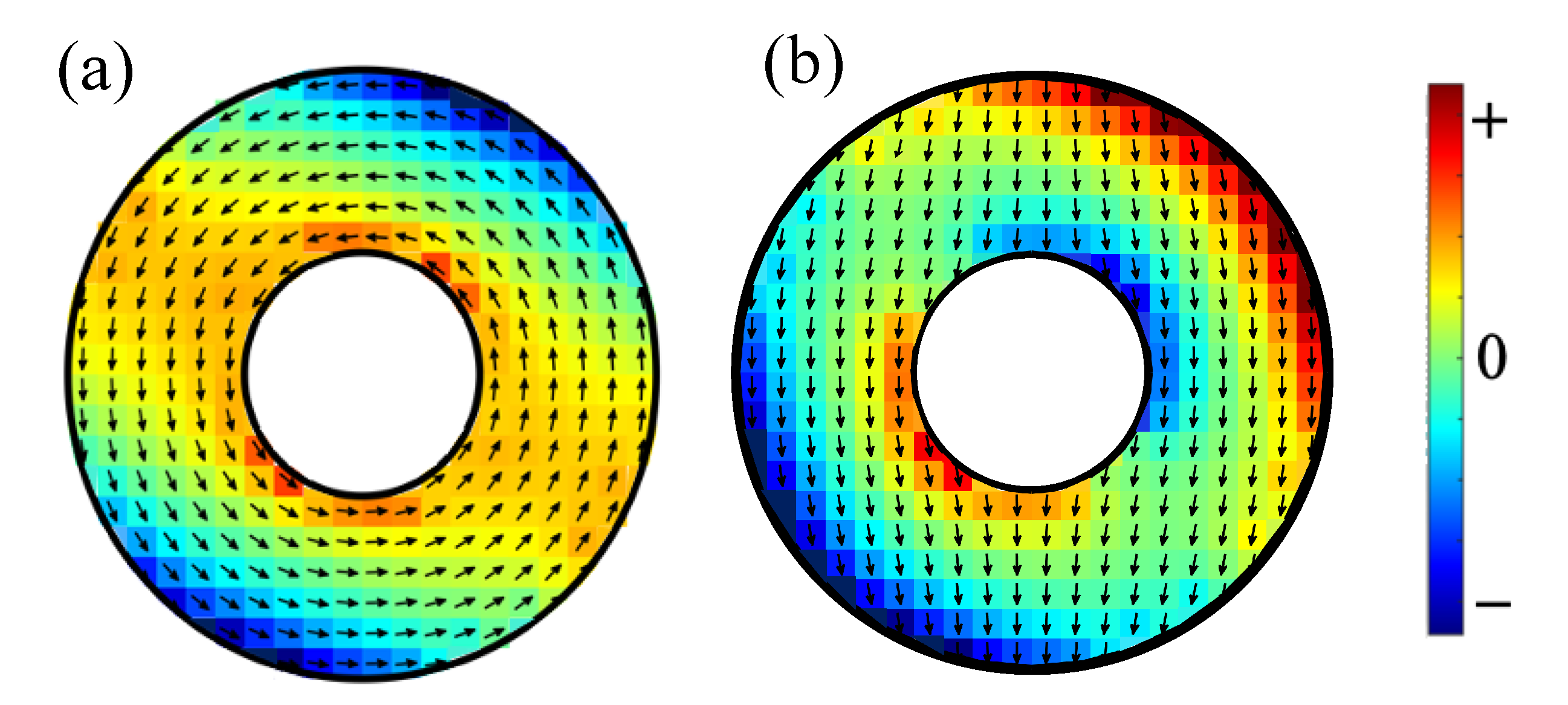 Nanomaterials 14 00286 g002