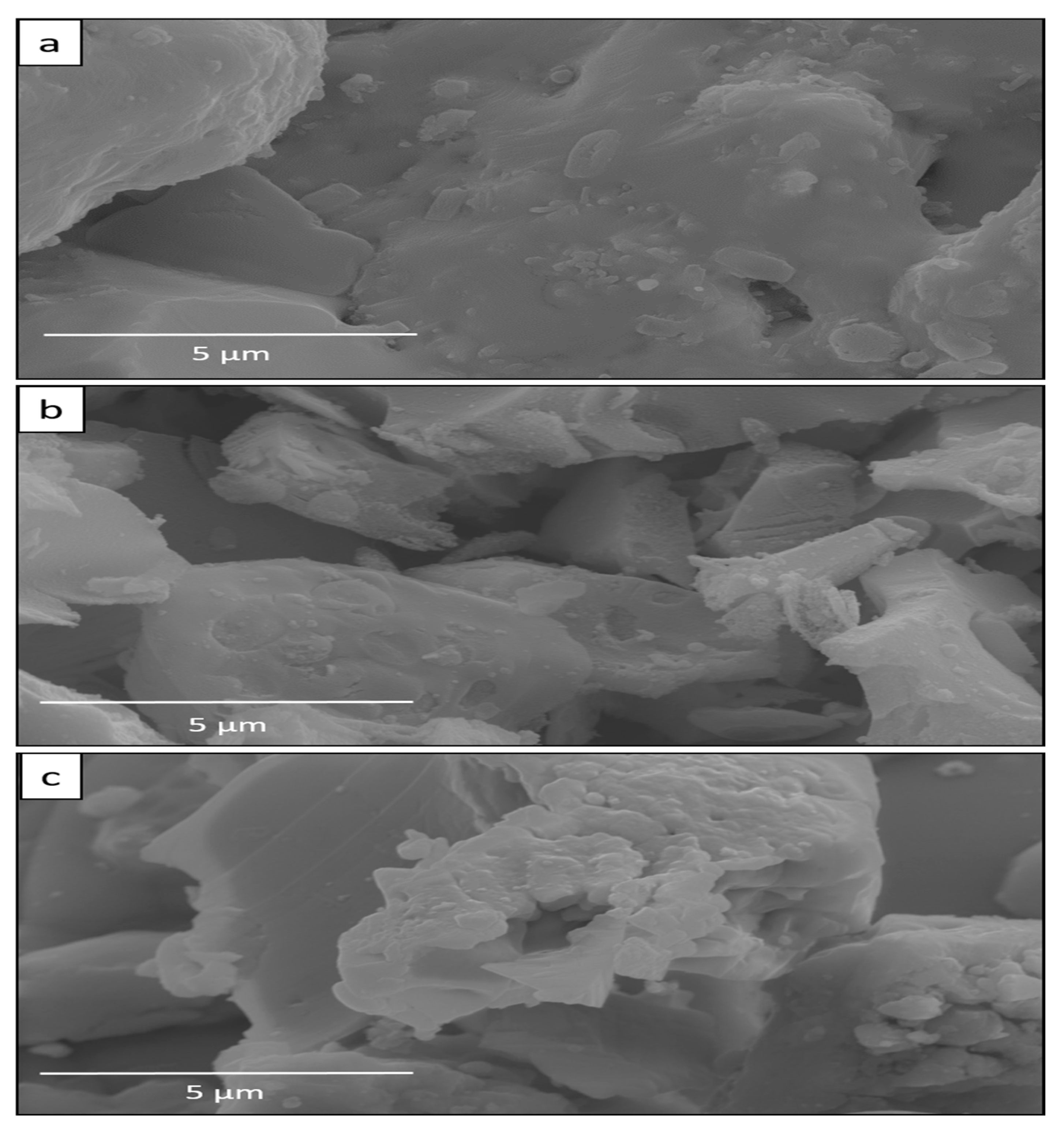Nanomaterials 14 00289 g007