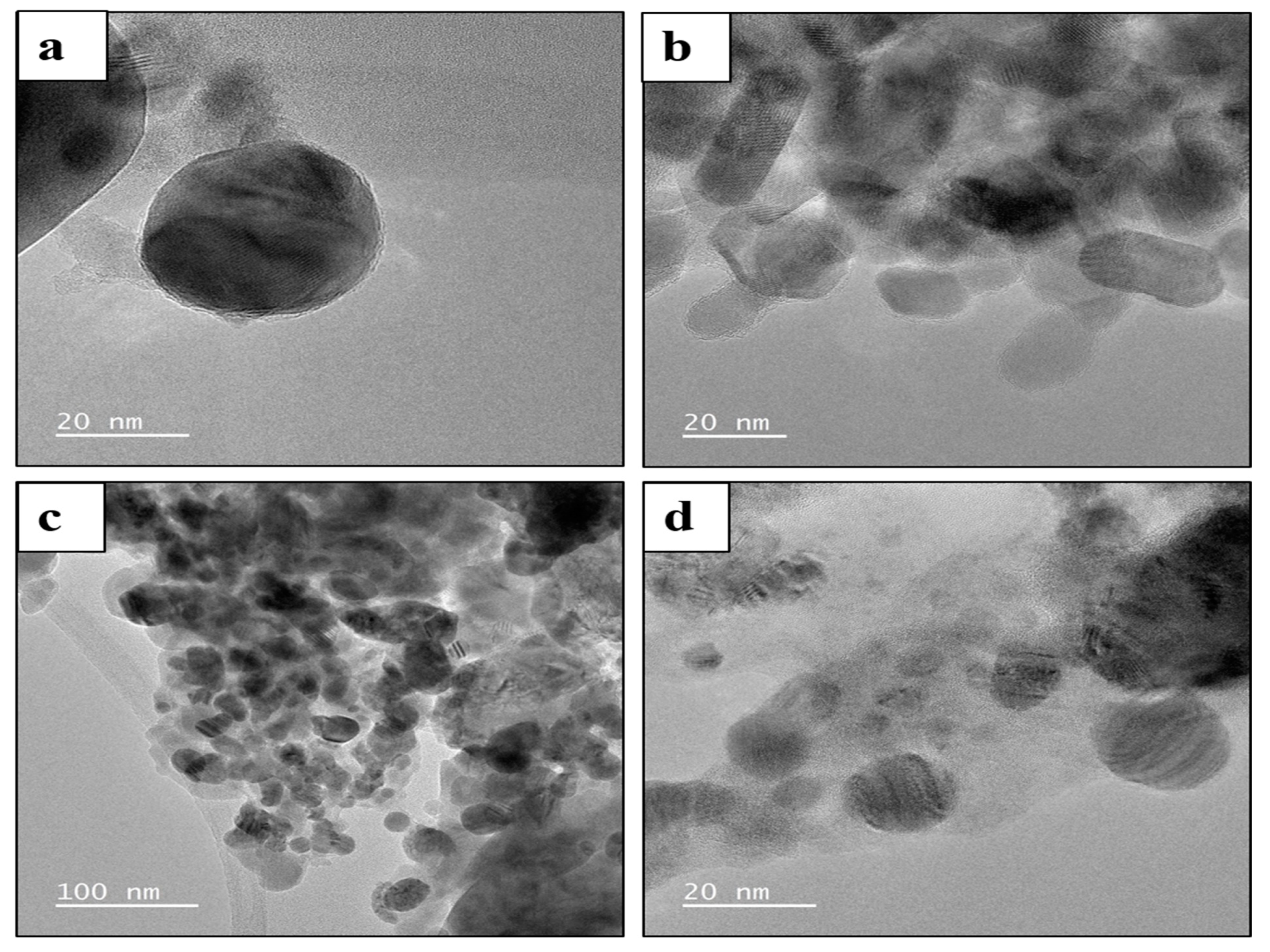 Nanomaterials 14 00289 g008