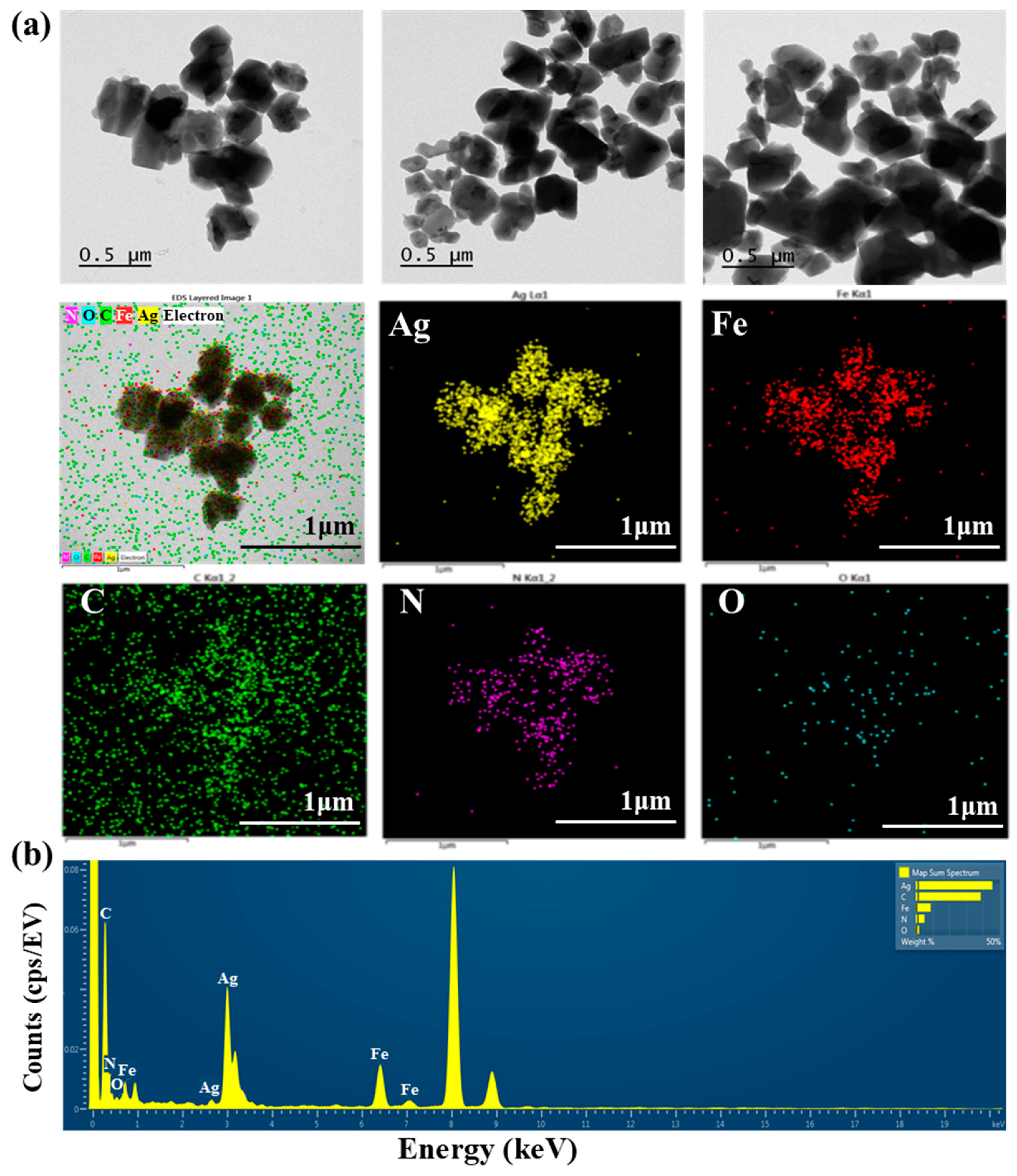 Nanomaterials 14 00292 g001