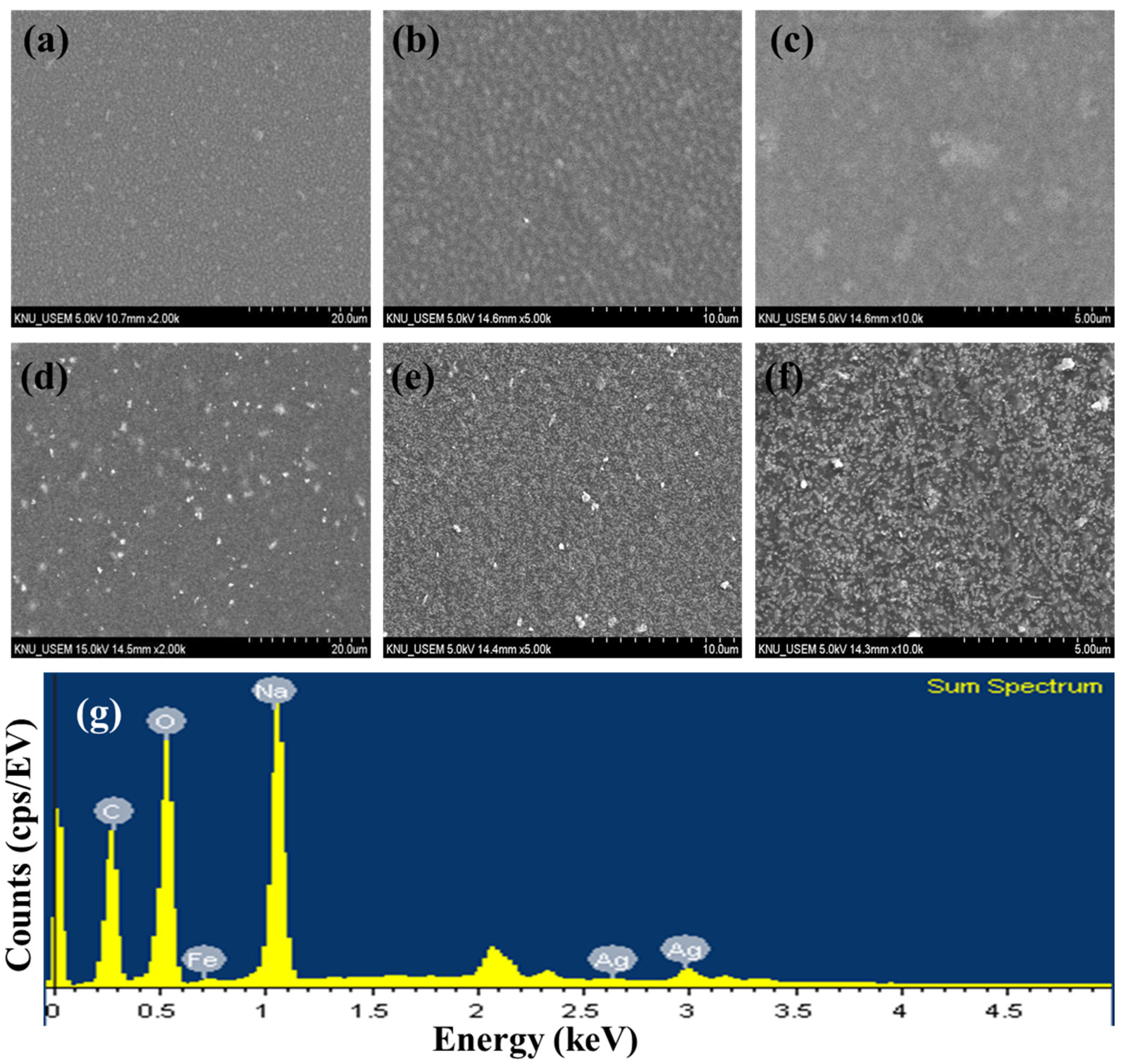 Nanomaterials 14 00292 g002