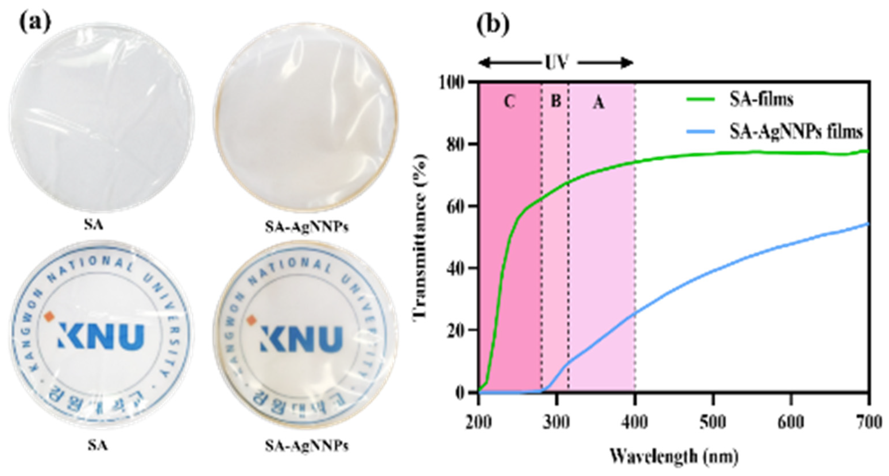 Nanomaterials 14 00292 g003