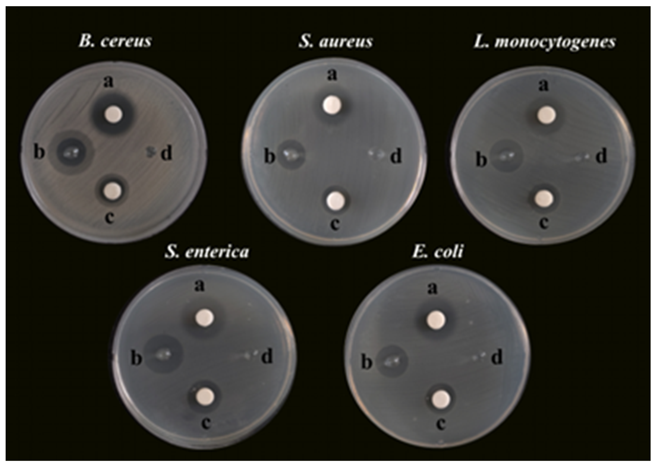 Nanomaterials 14 00292 g005