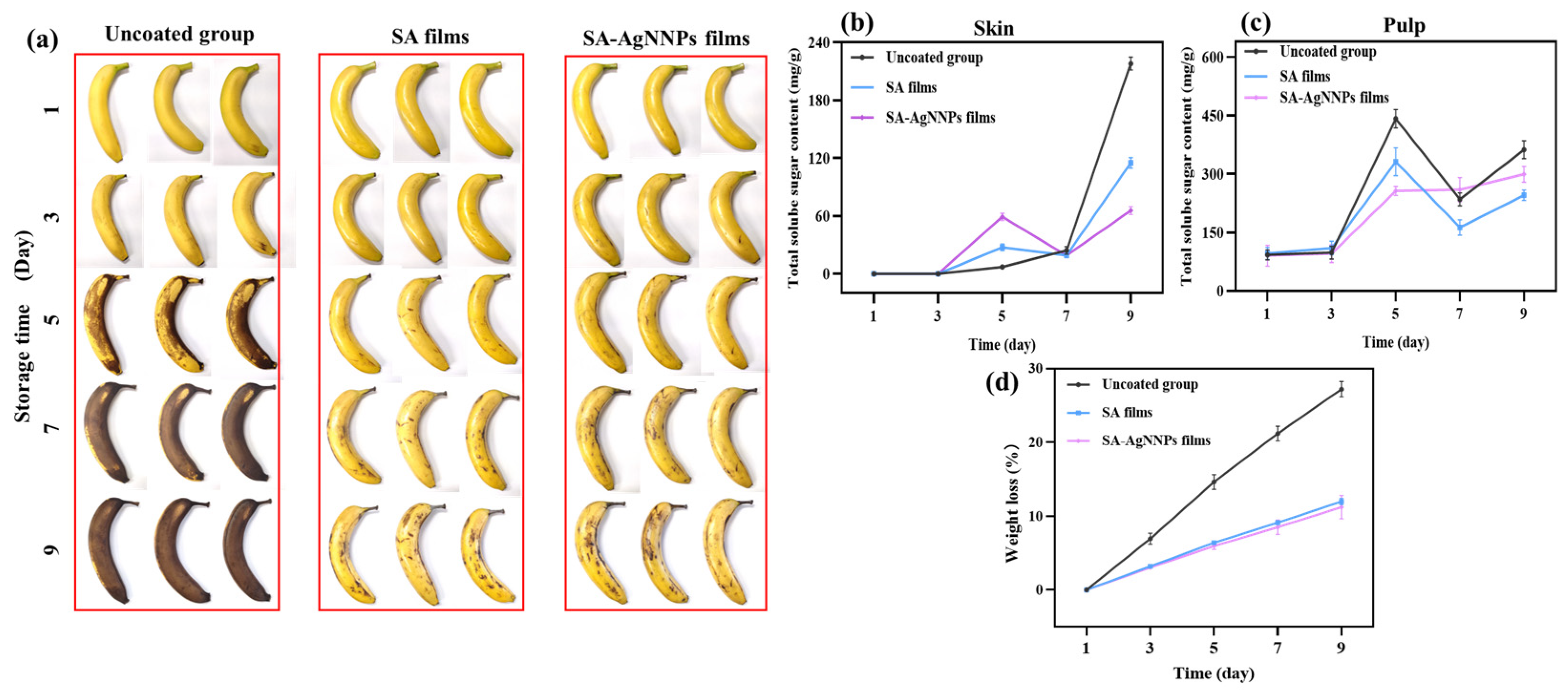 Nanomaterials 14 00292 g008
