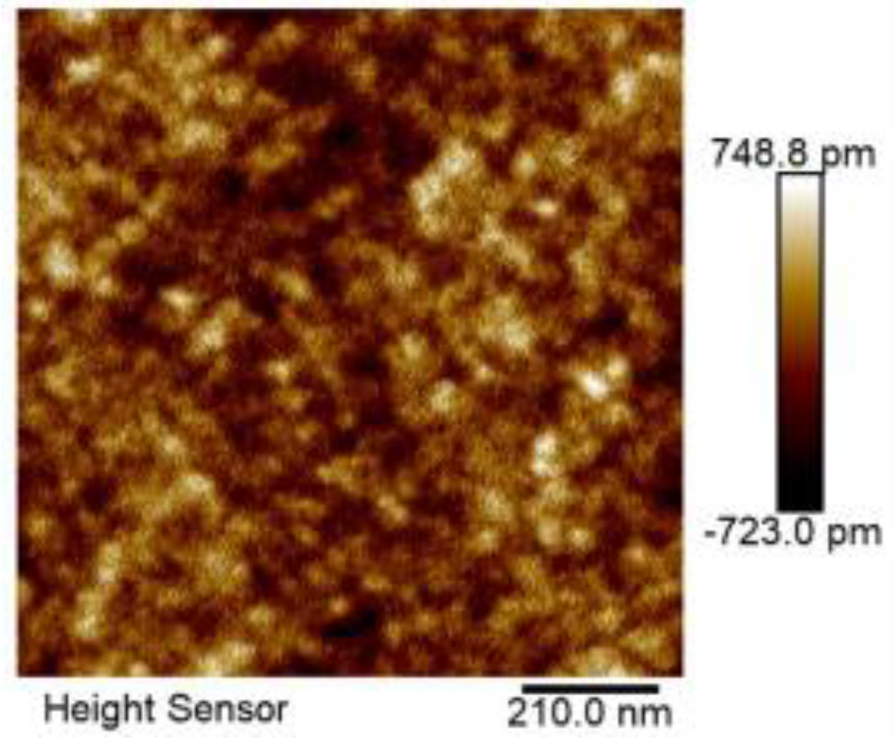 Nanomaterials 14 00294 g004