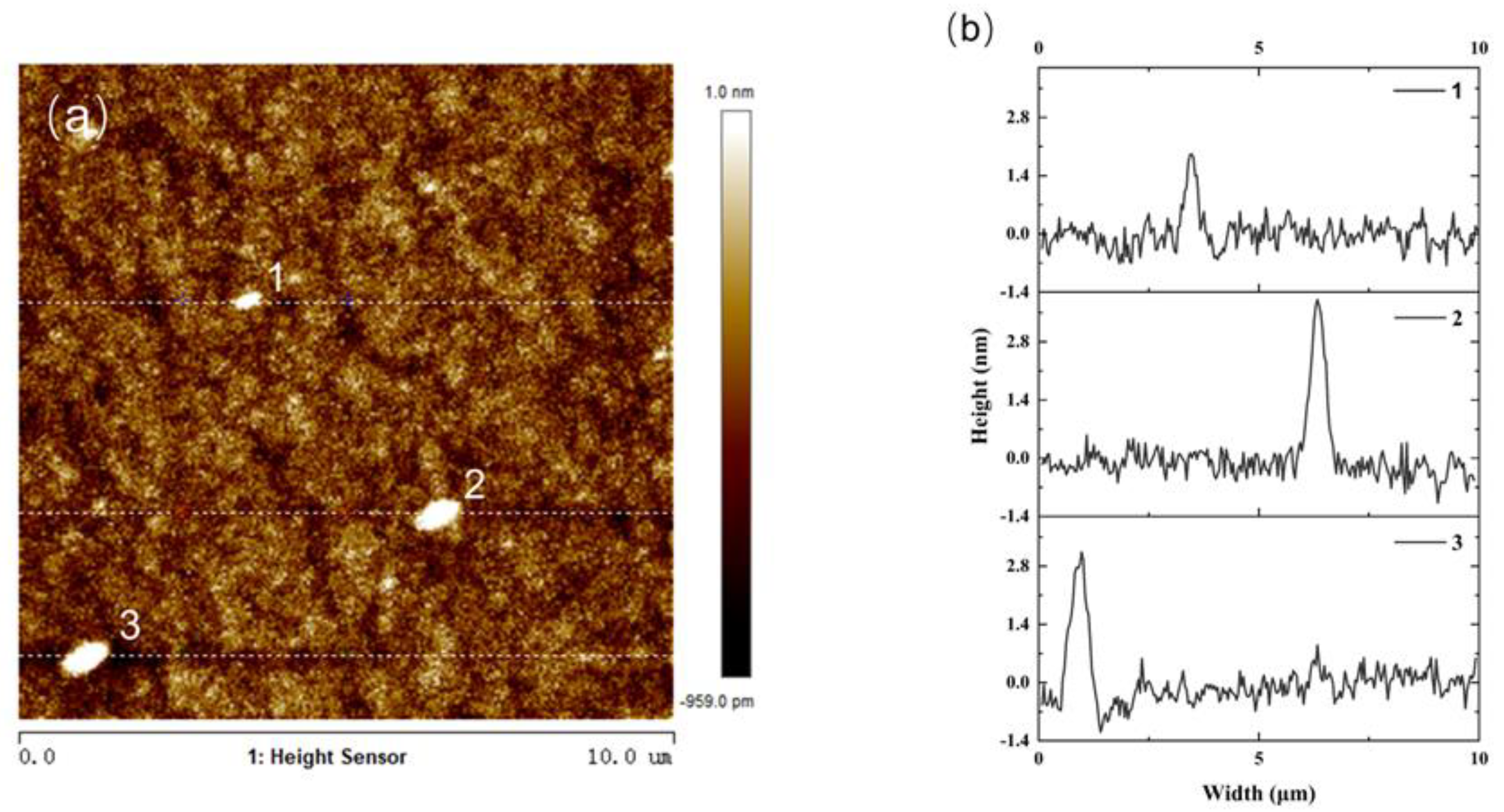 Nanomaterials 14 00294 g005