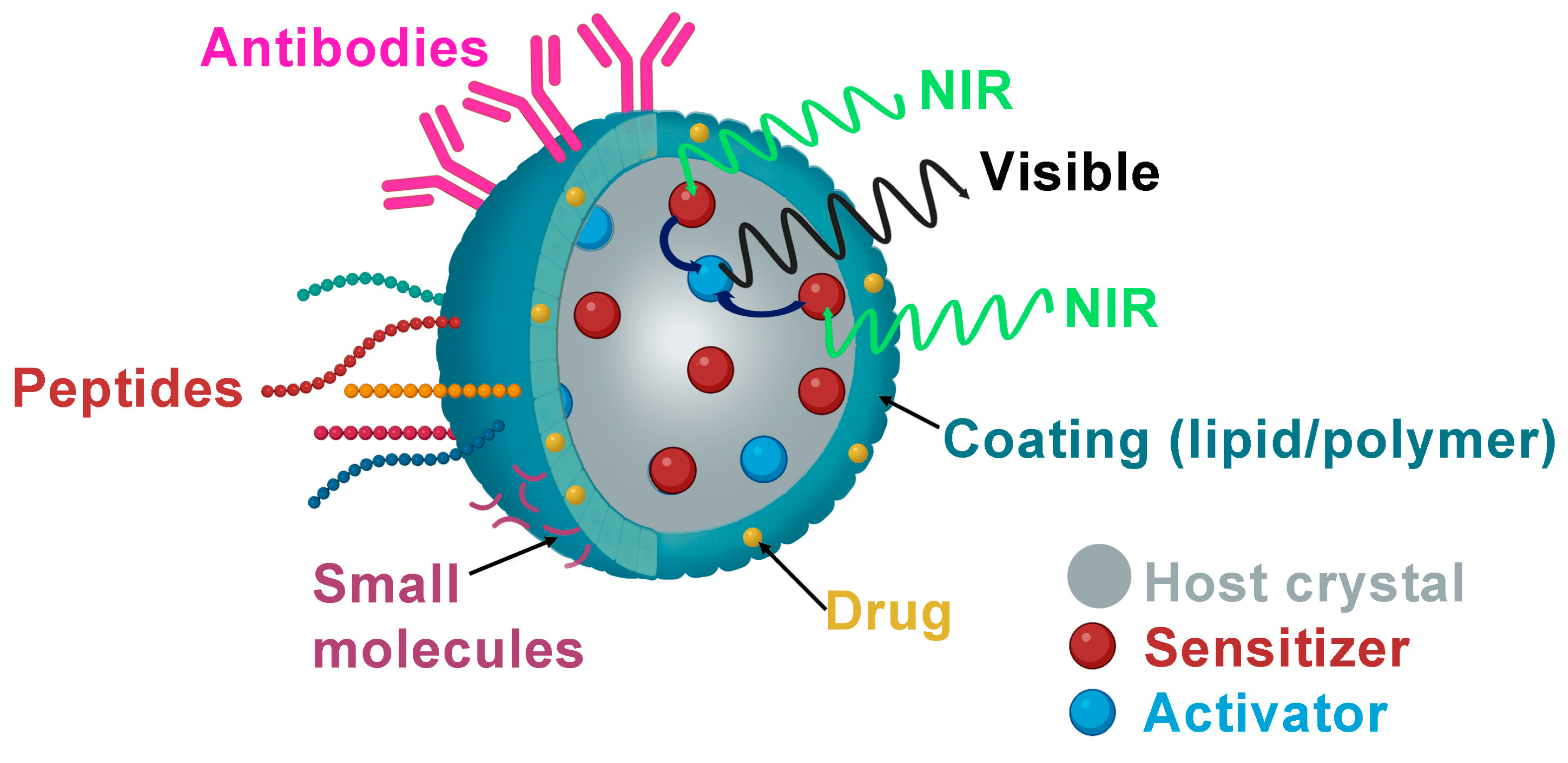 Nanomaterials 14 00296 g002 Nanomaterials 14 00296 g002